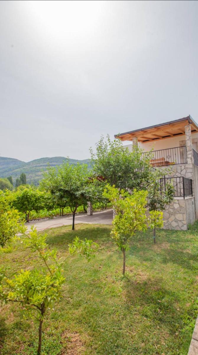 Vinarija 