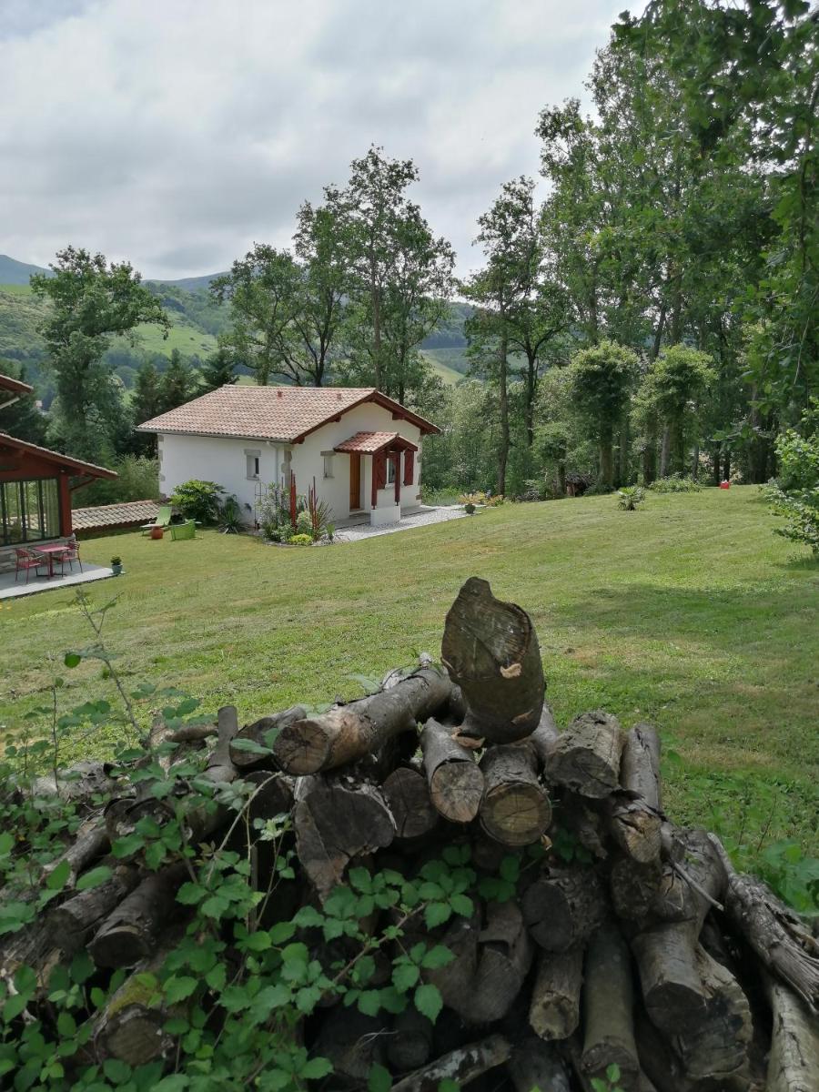 Photo 21