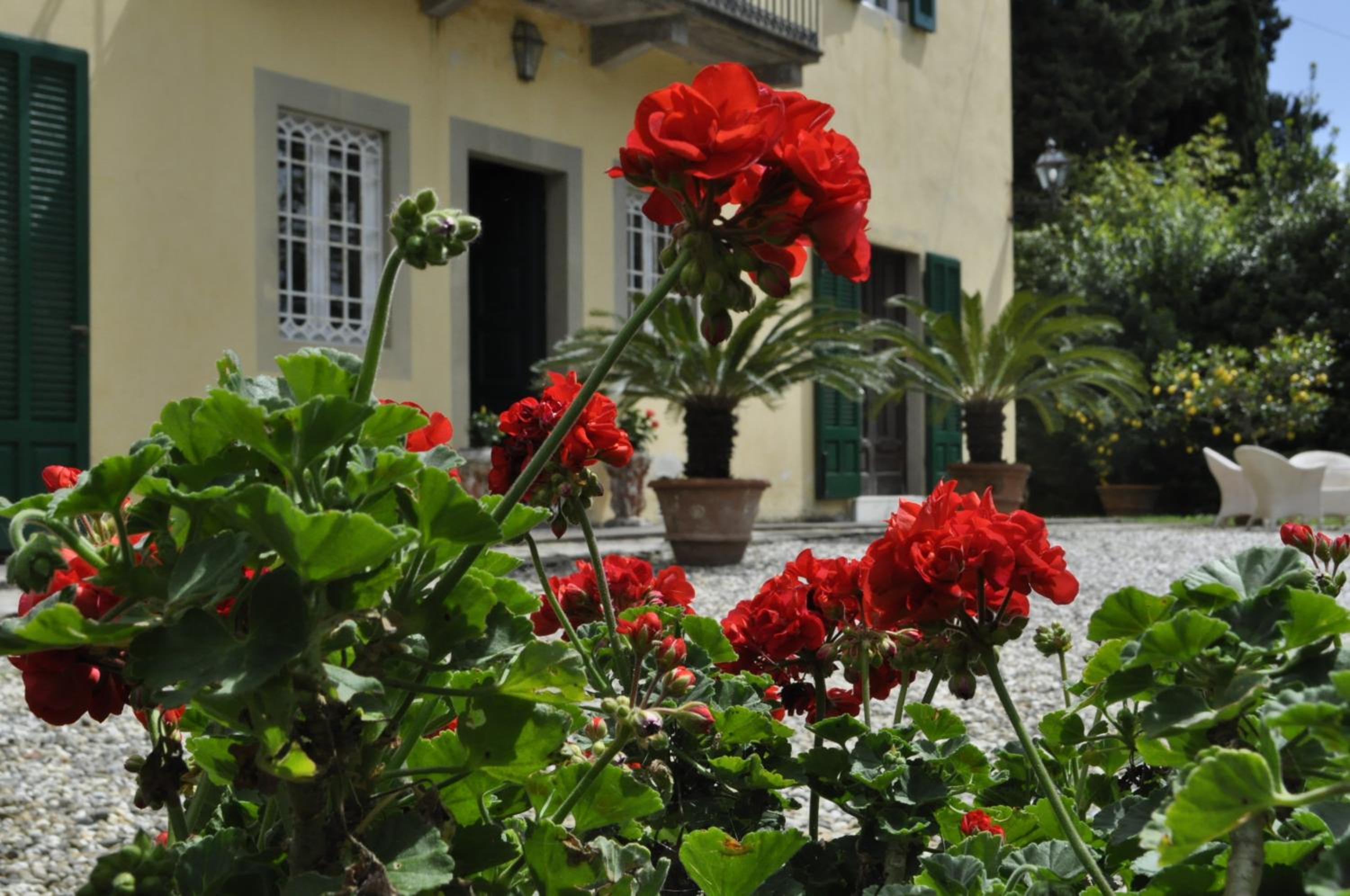Villa Pedone view 4