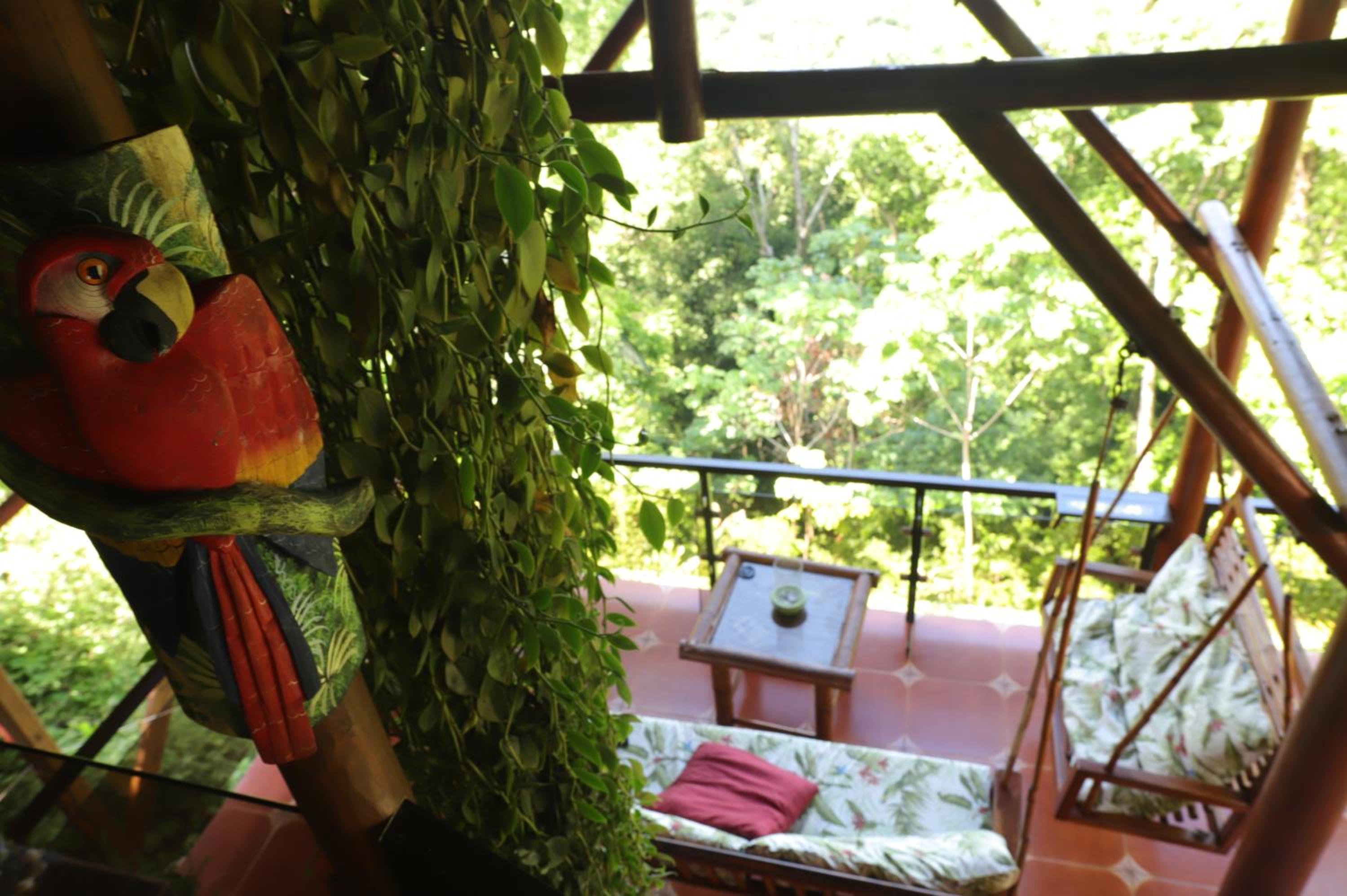 La Uvita Perdida