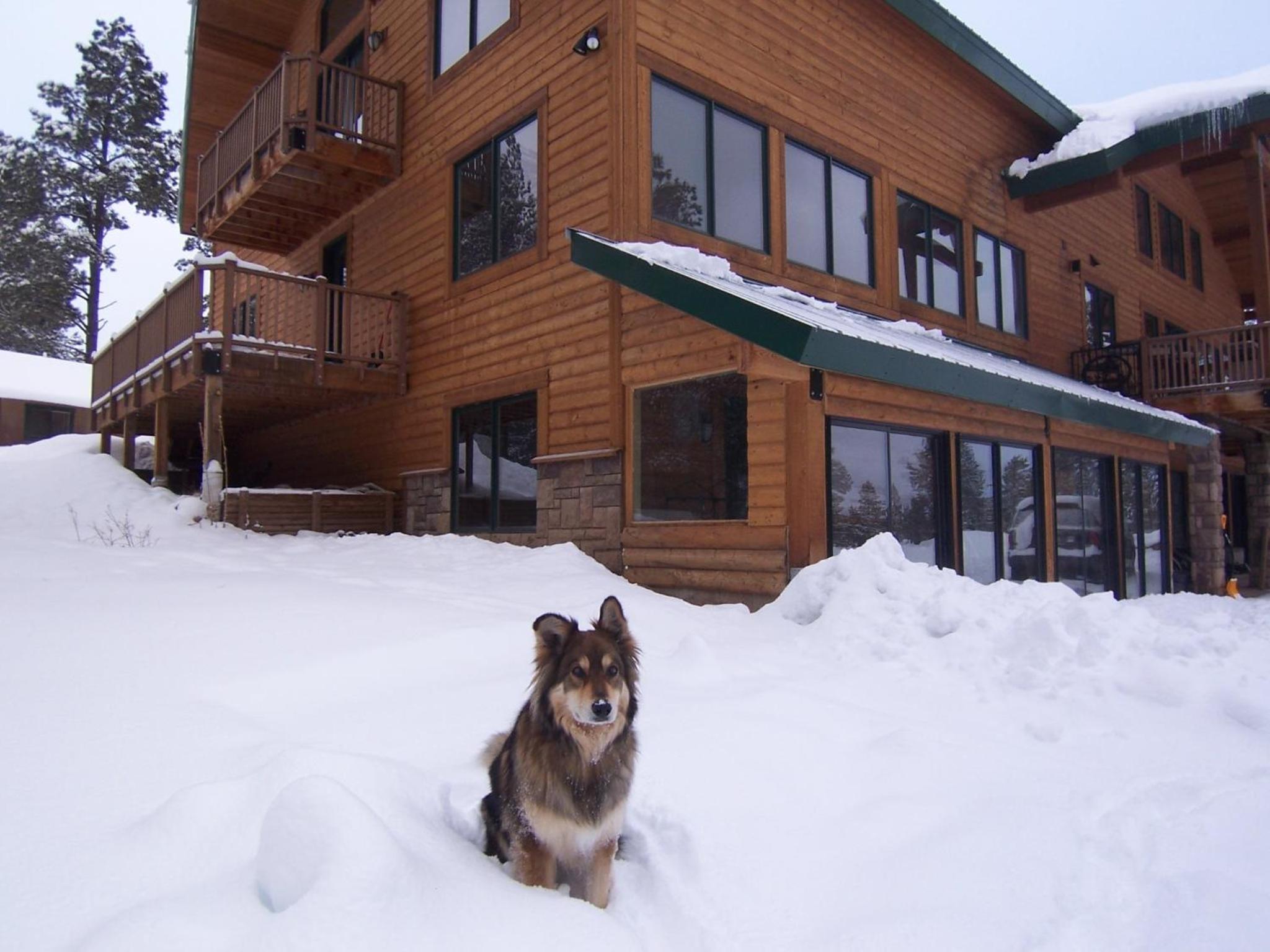 Elktrace Bed and Breakfast