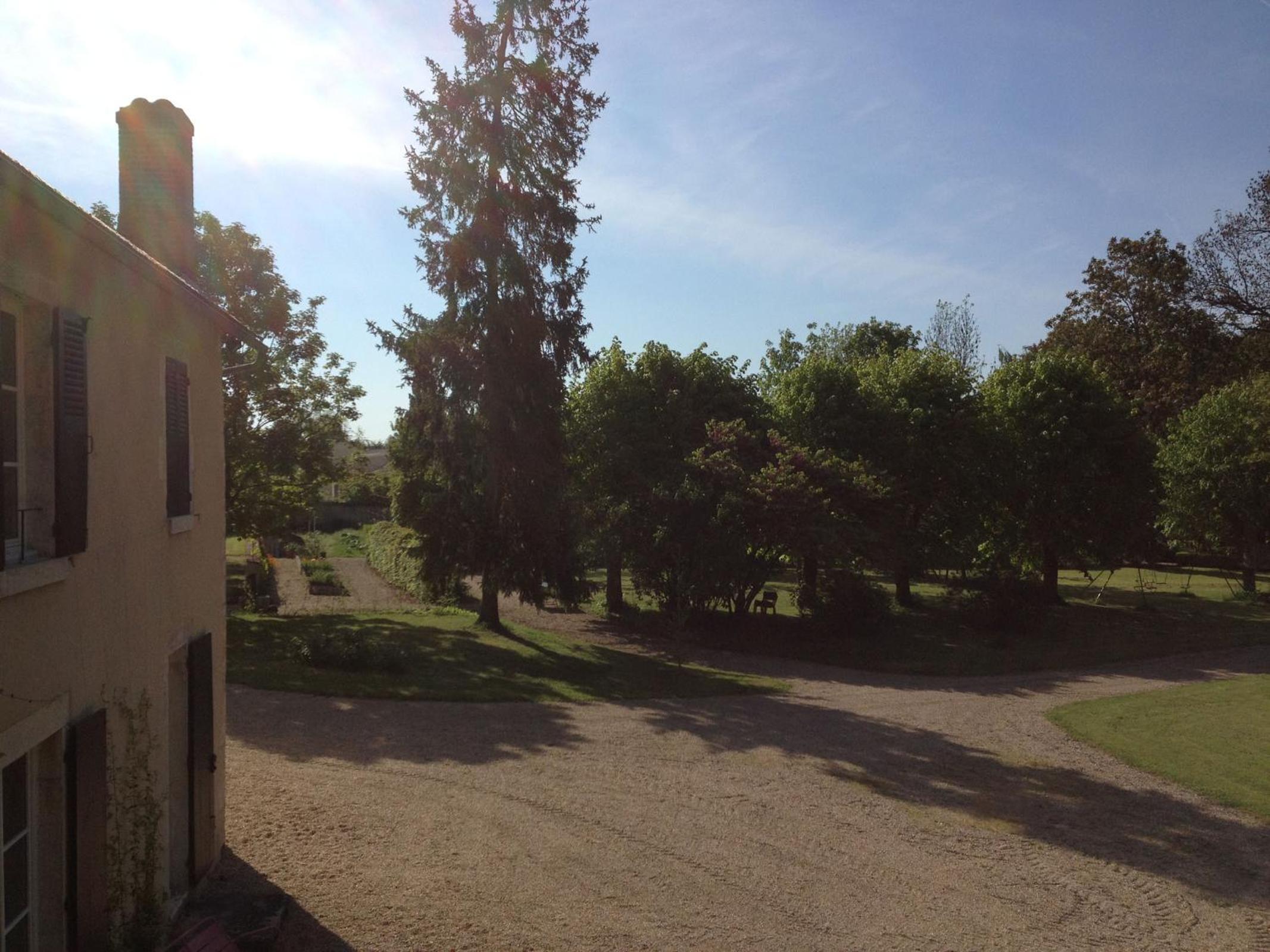 Photo 10