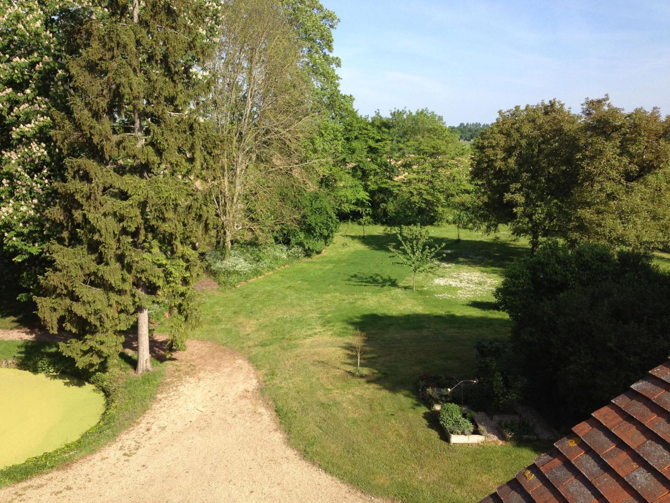Photo 11