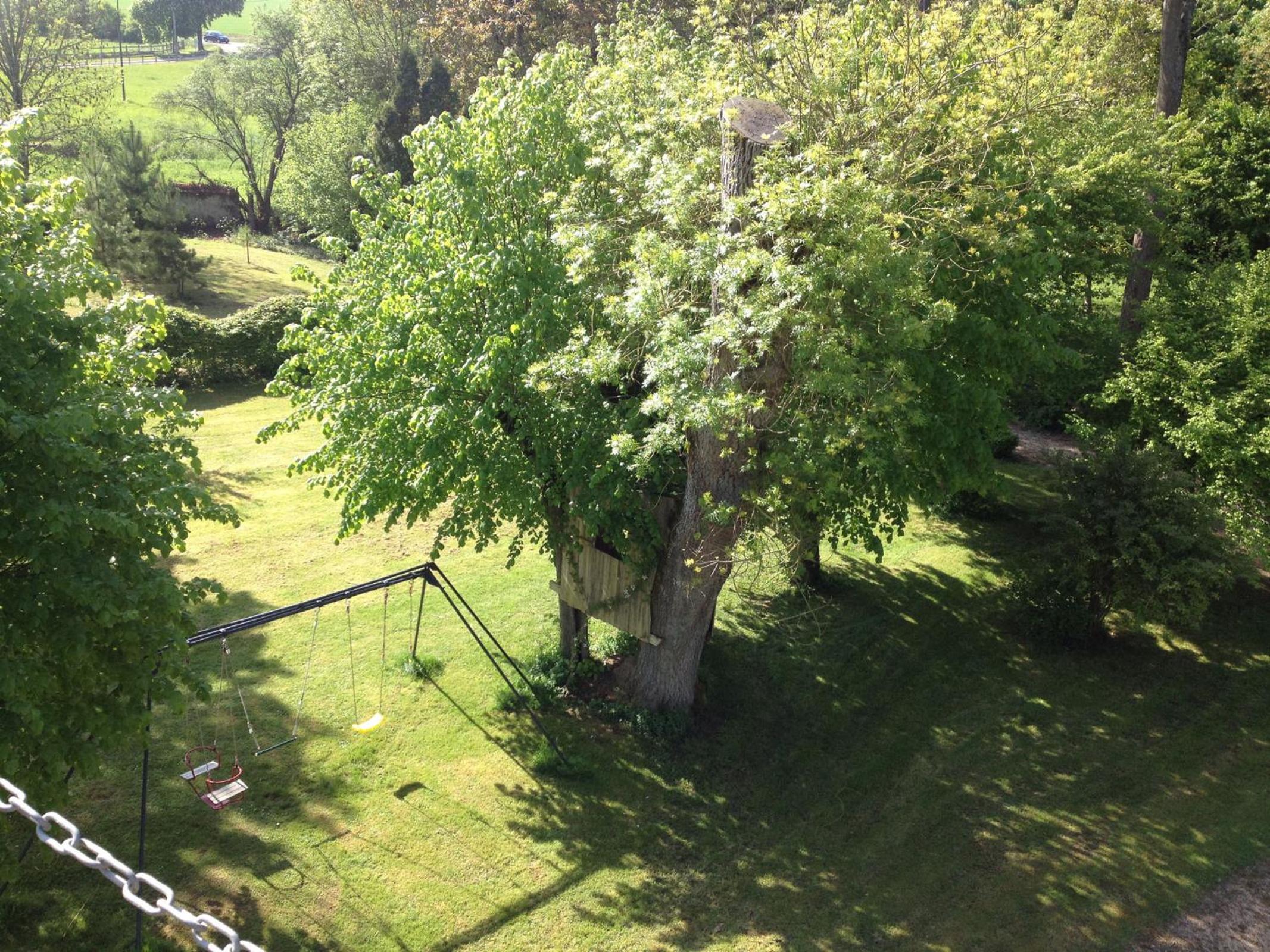 Photo 12