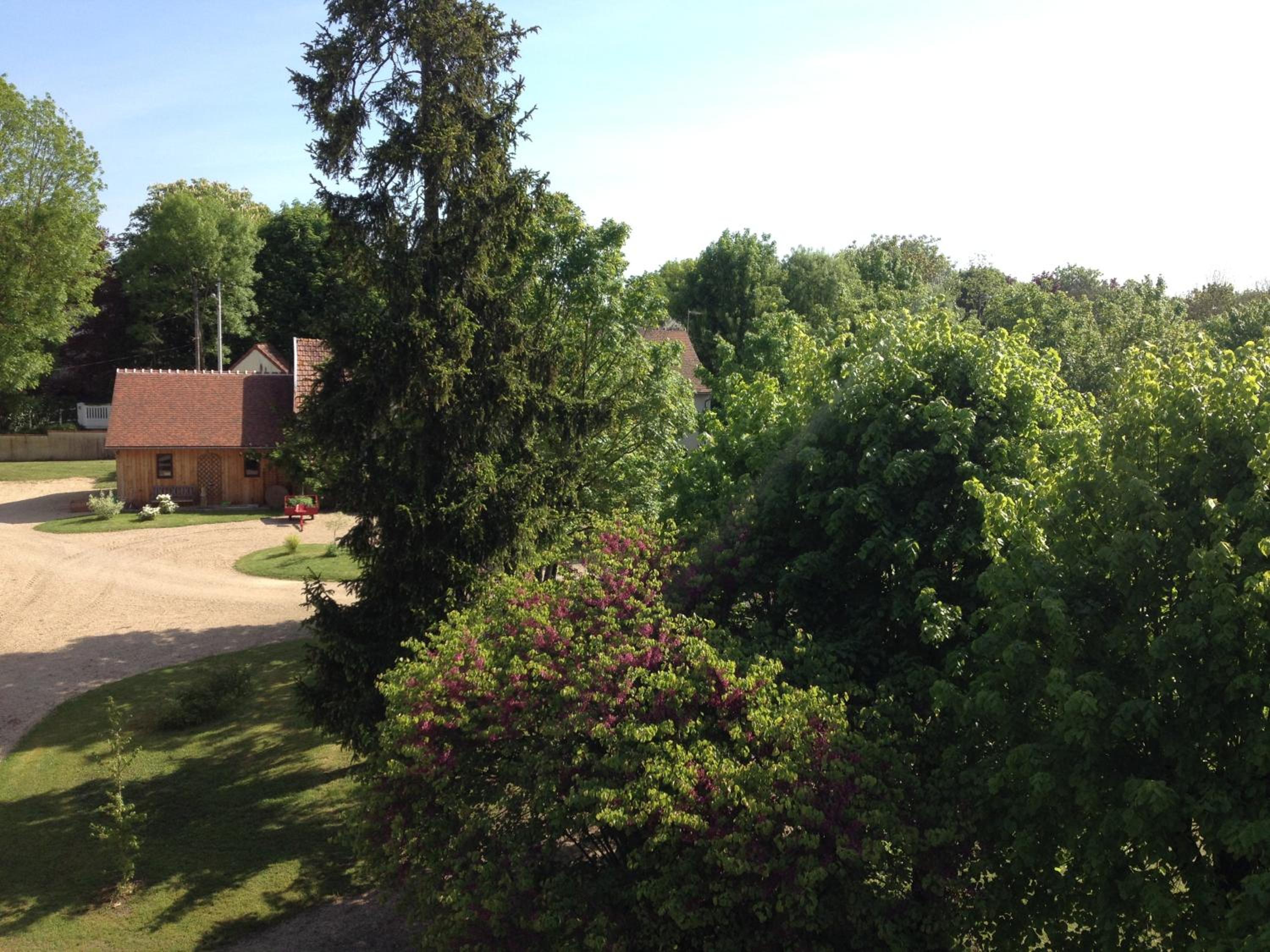 Photo 13