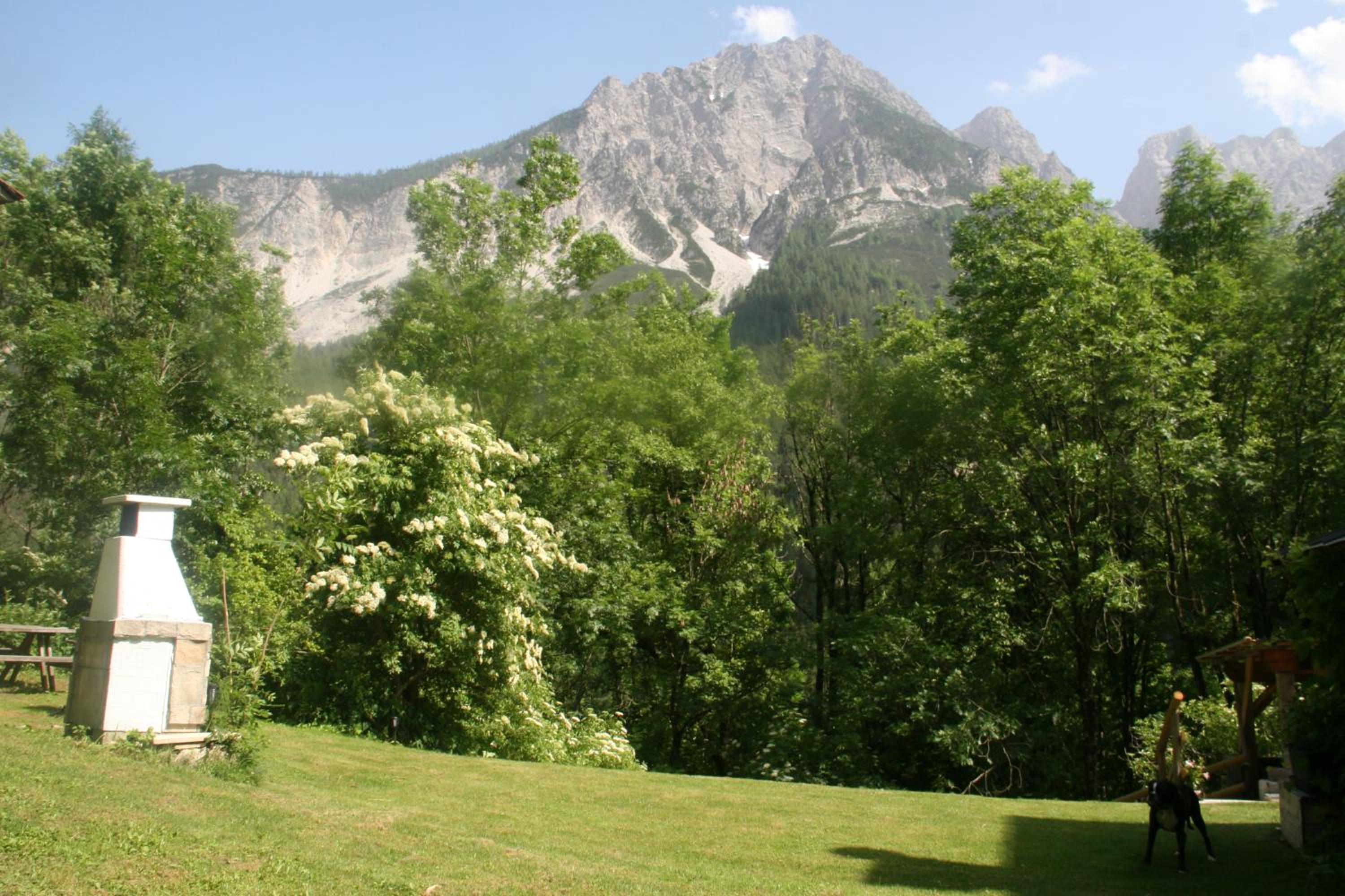 Photo 25