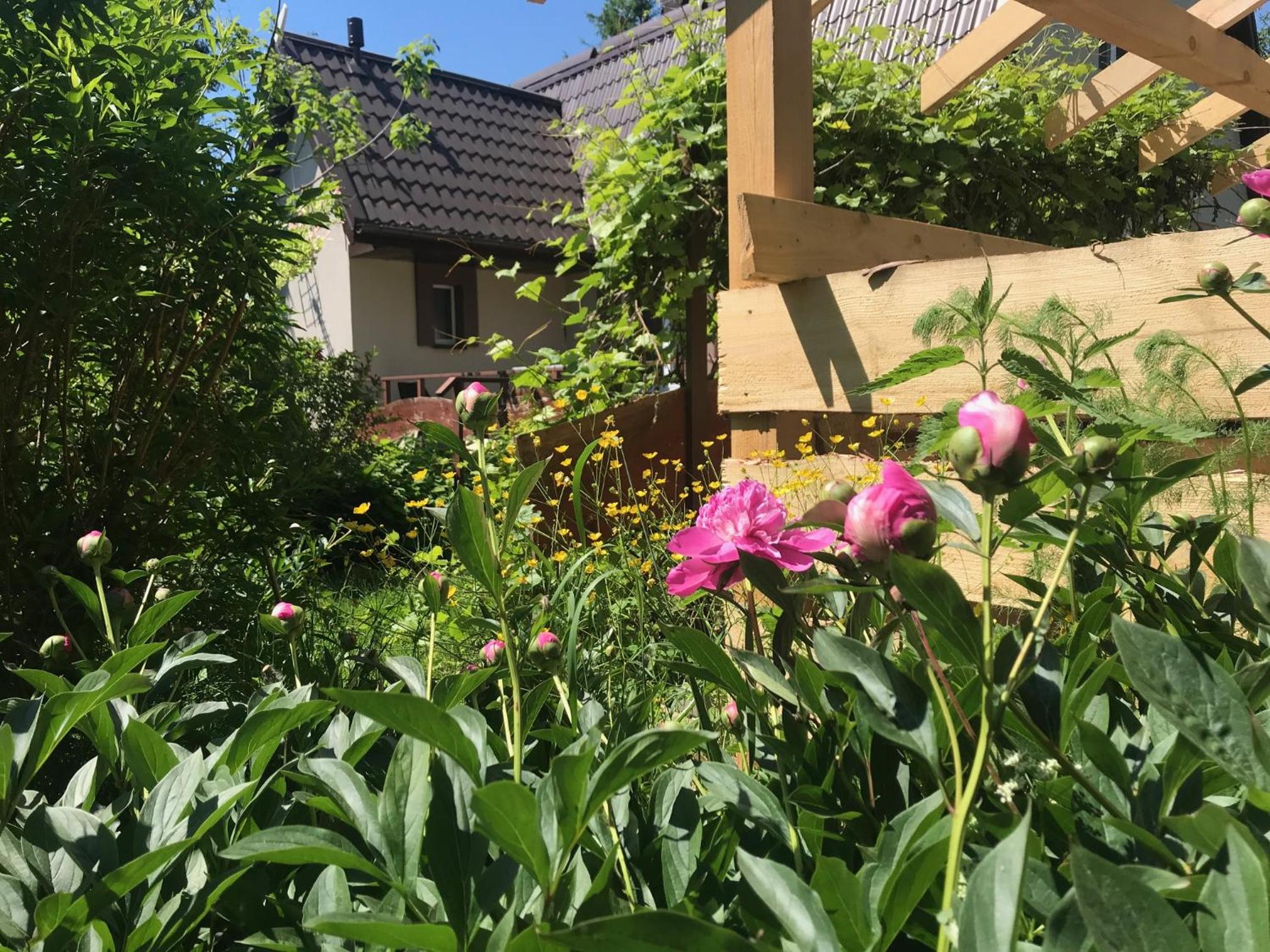 Photo 18
