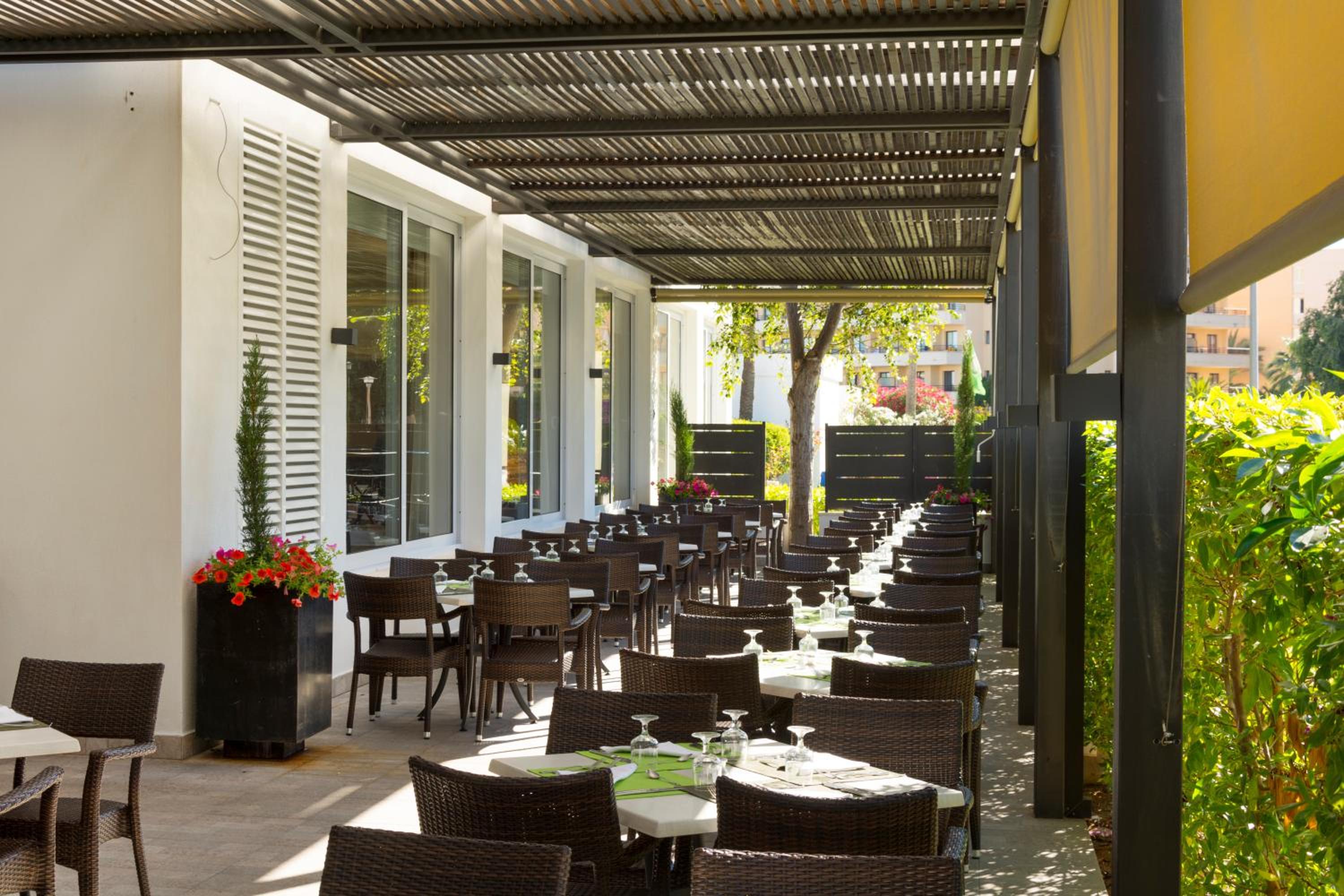 Protur Vista Badia en Sa Coma — dining