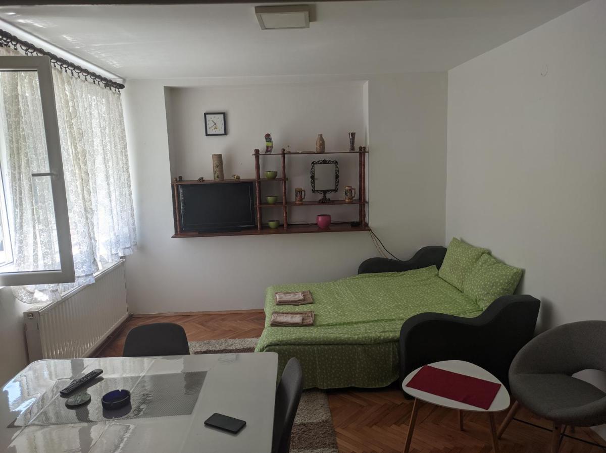 Sokobanja Apartments view 2