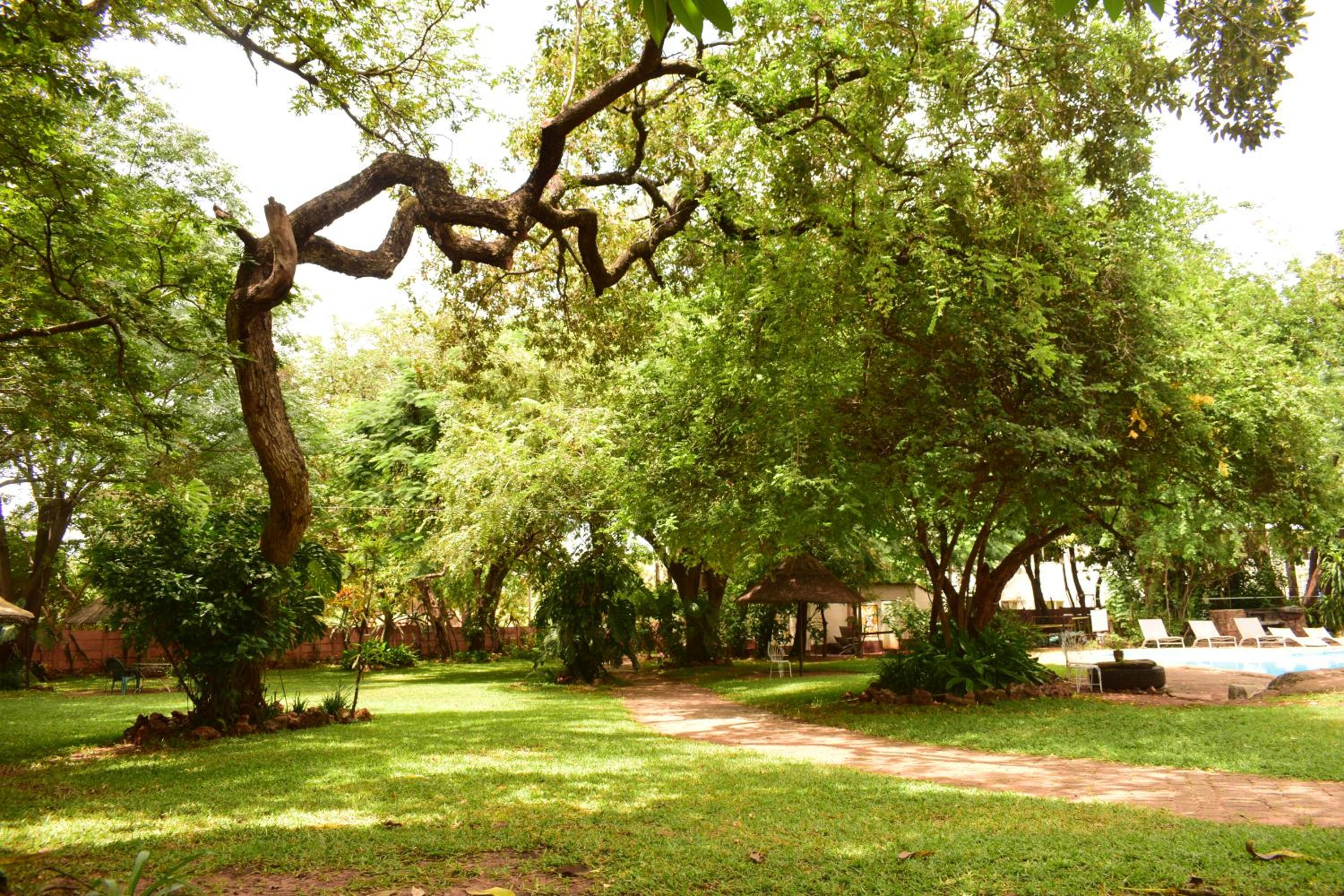 Foto 42 de 52 de Shoestrings Backpackers Lodge Vic Falls