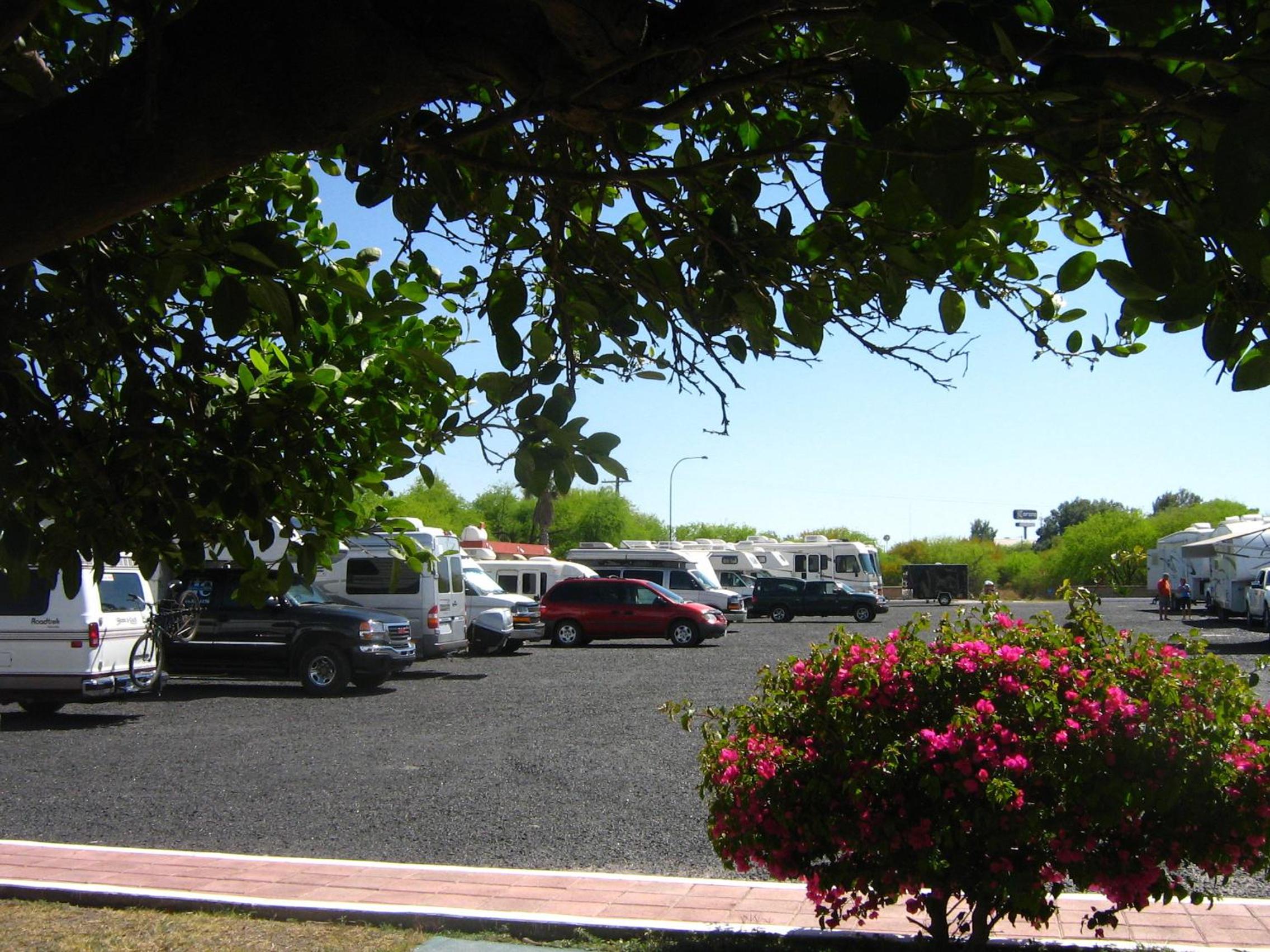 Photo 6