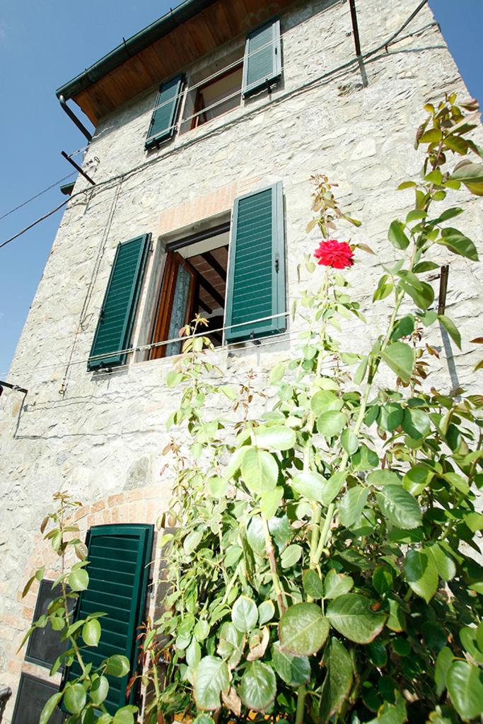 TOWER in Casciano di Murlo