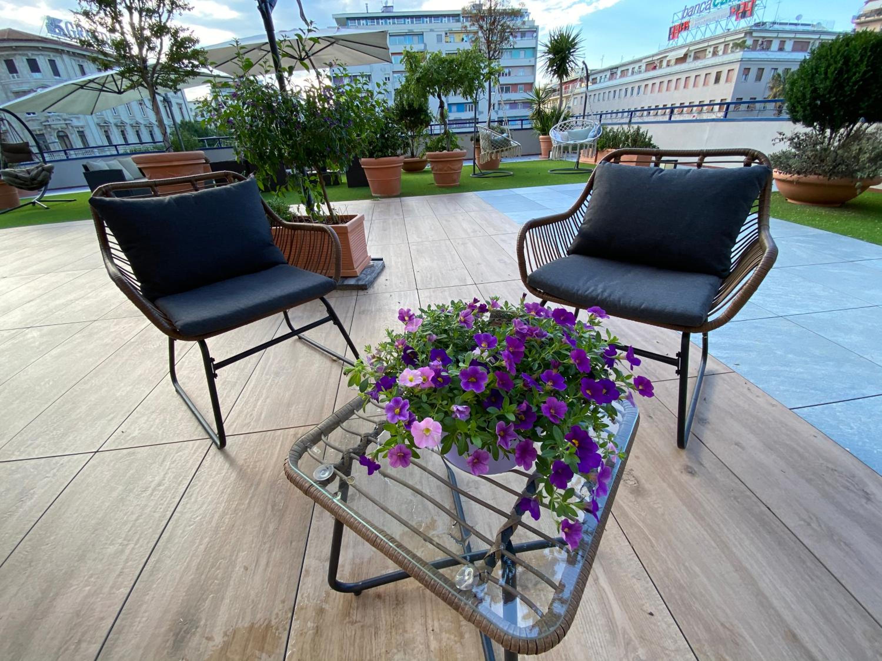 balance & terrace