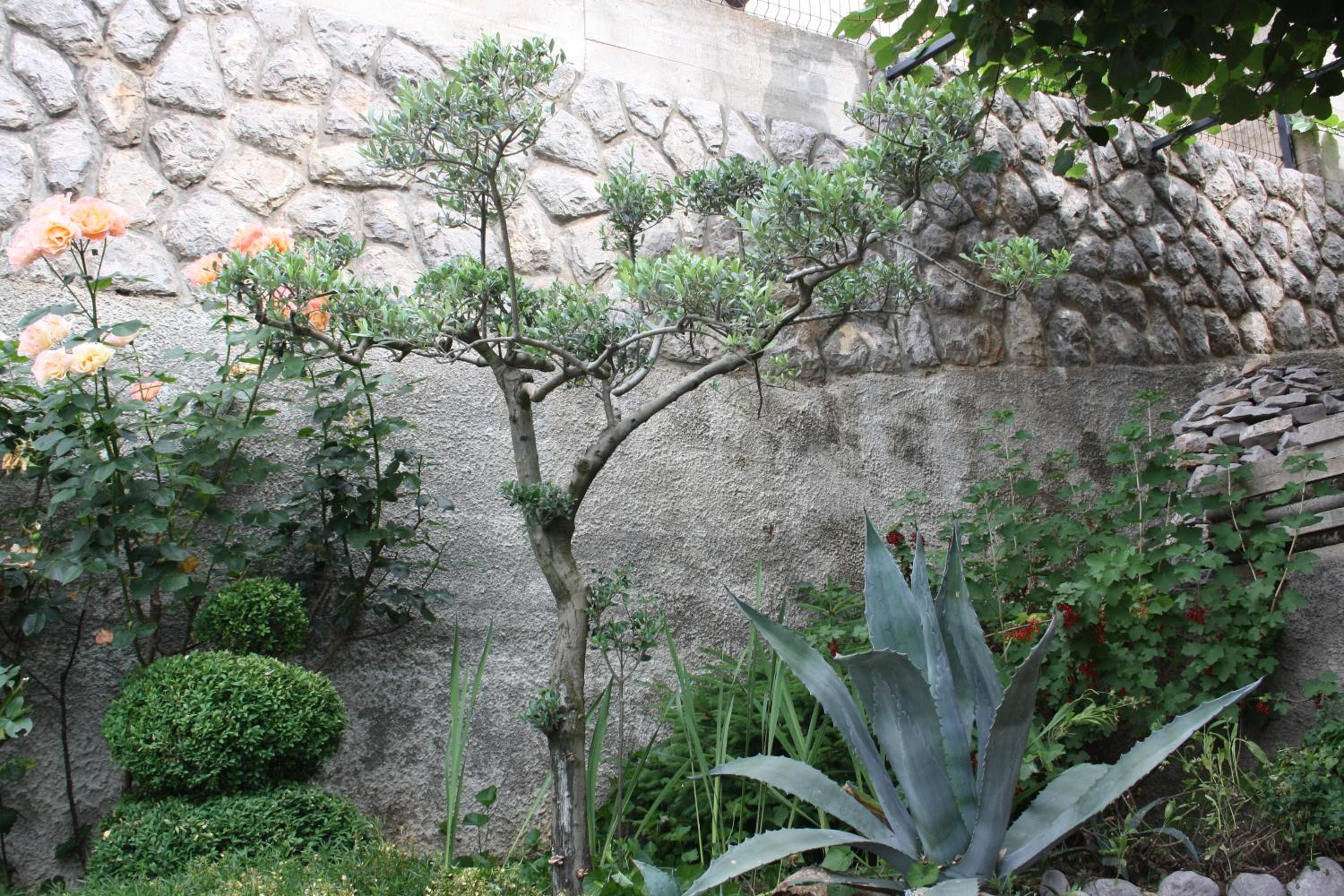 Photo 24