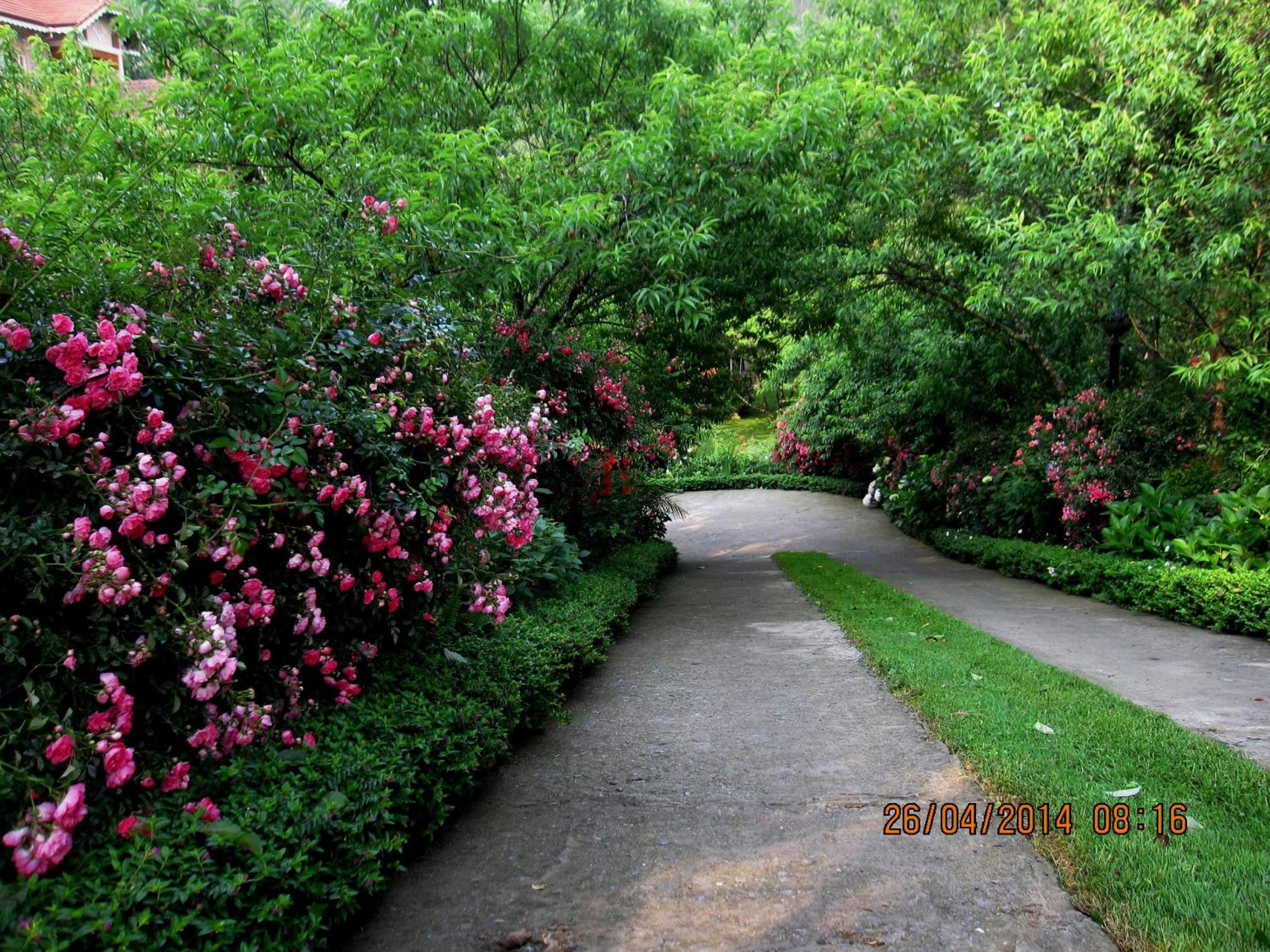 Sapa Garden Bed and Breakfast