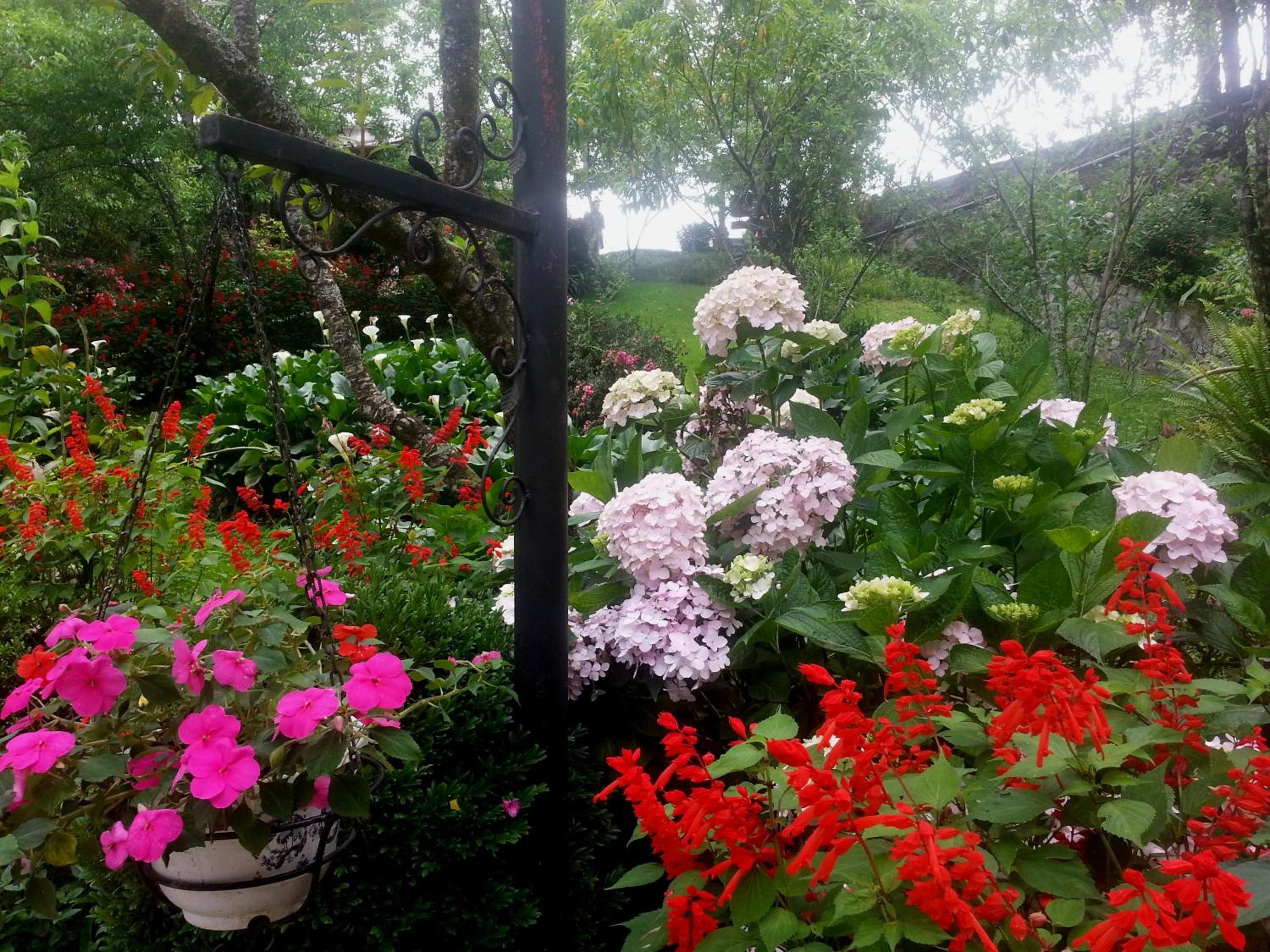 Sapa Garden Bed and Breakfast