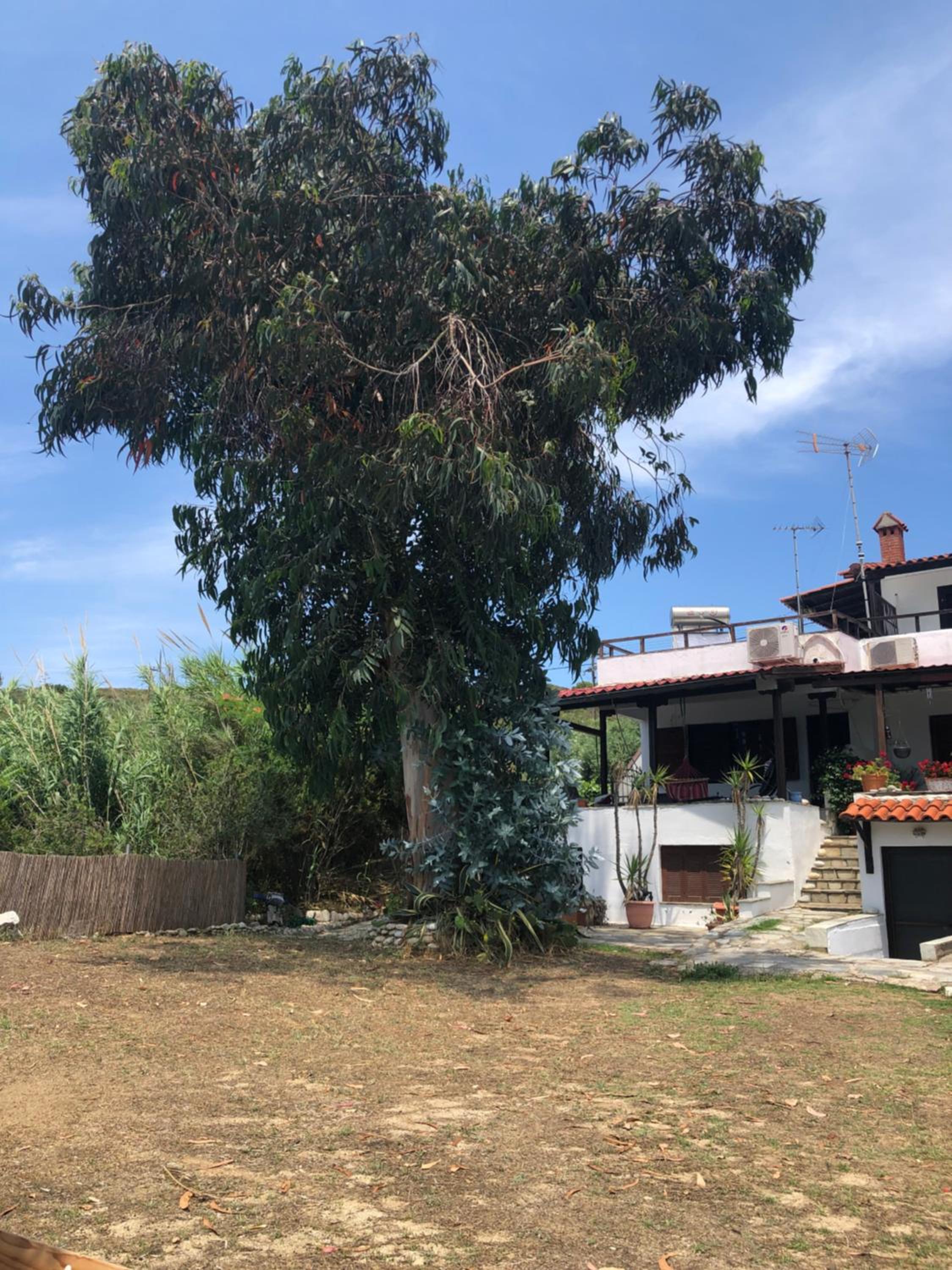 Agrelia House