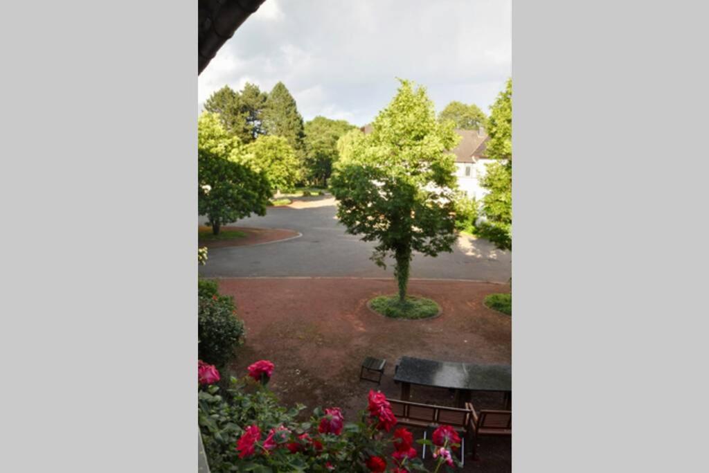 Köbelerhof - Stilvoll eingerichtete Landwohnung view 3