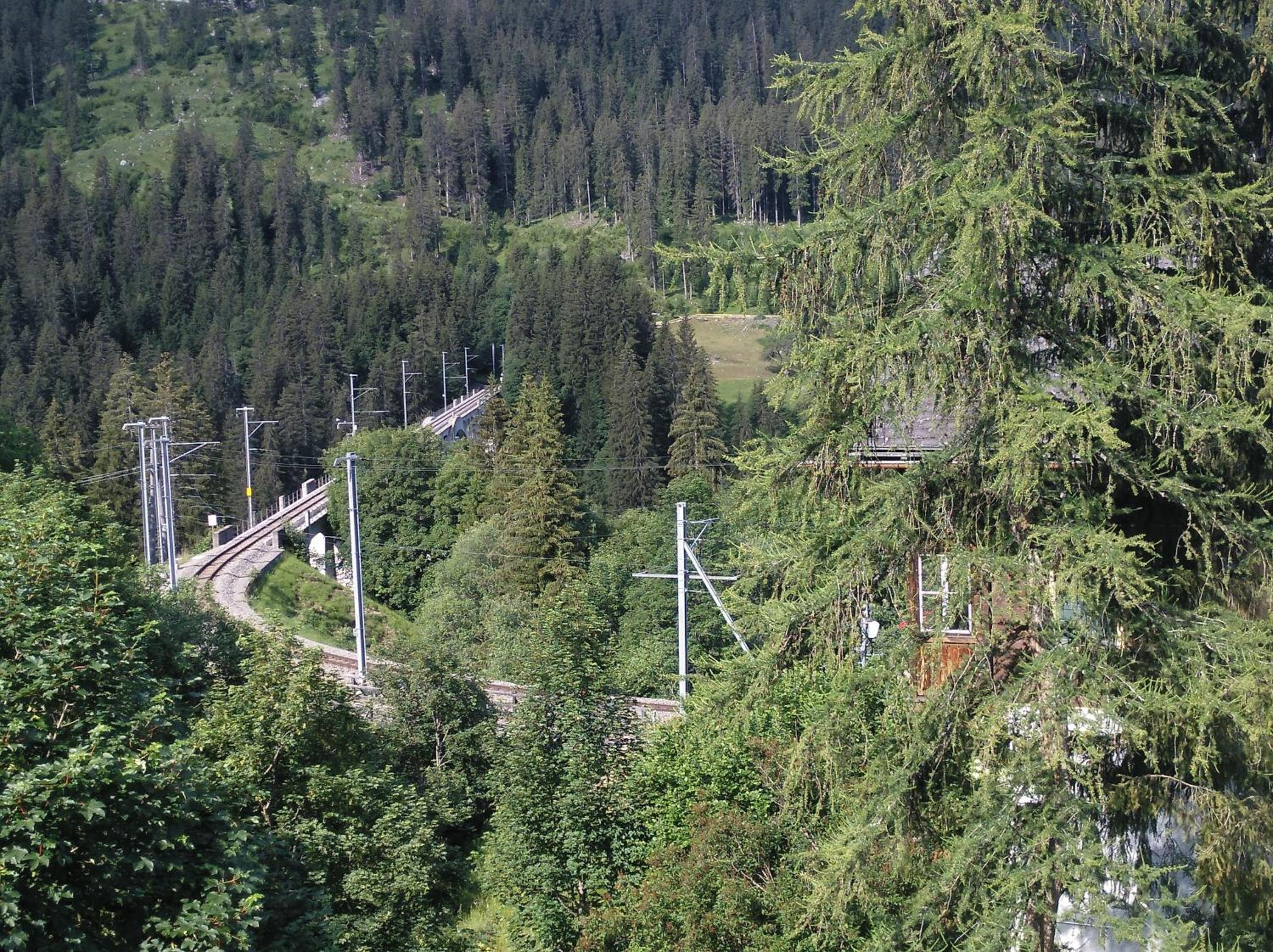 Photo 25