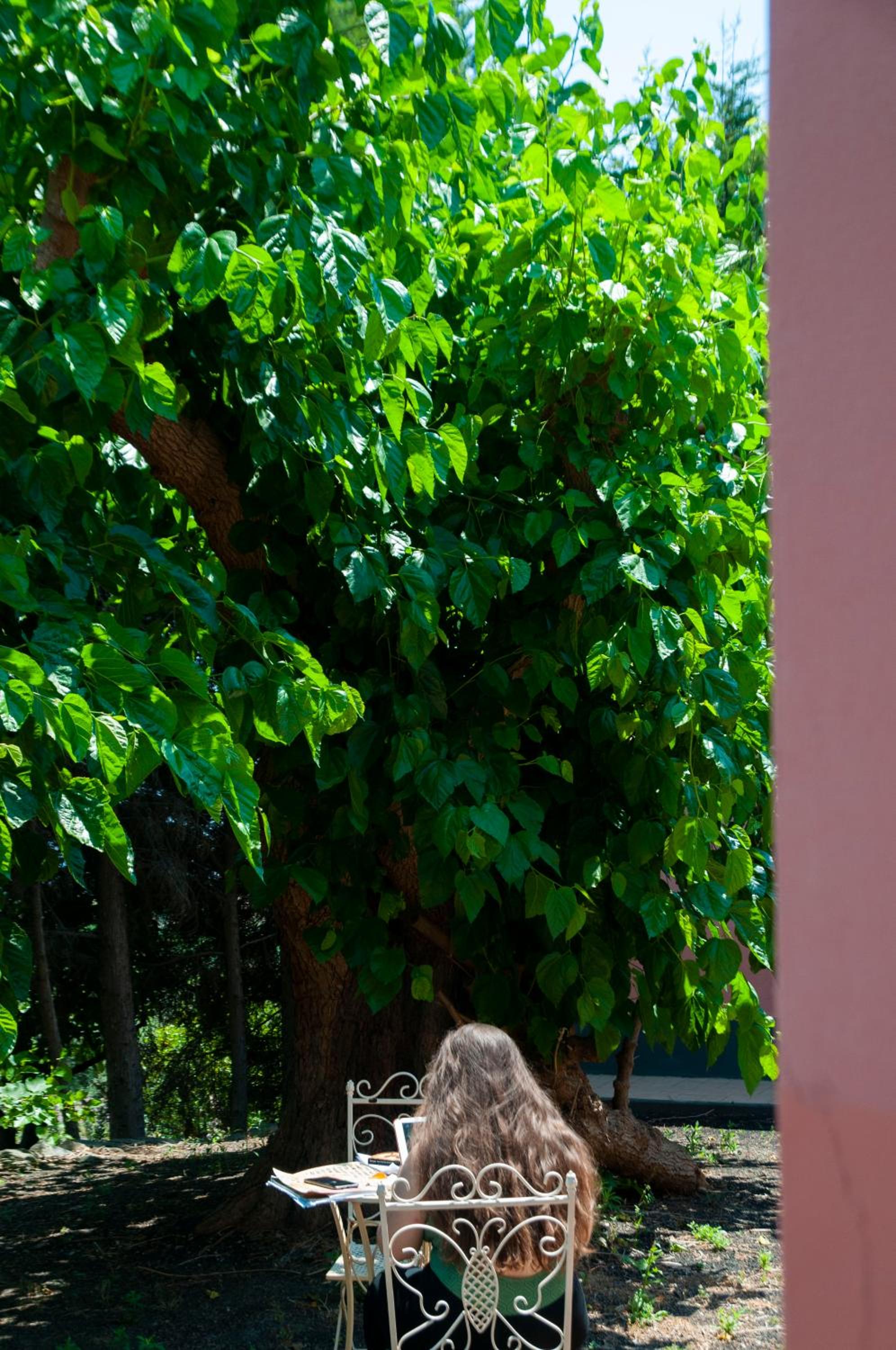 Antico Borgo Etneo Country Hotel