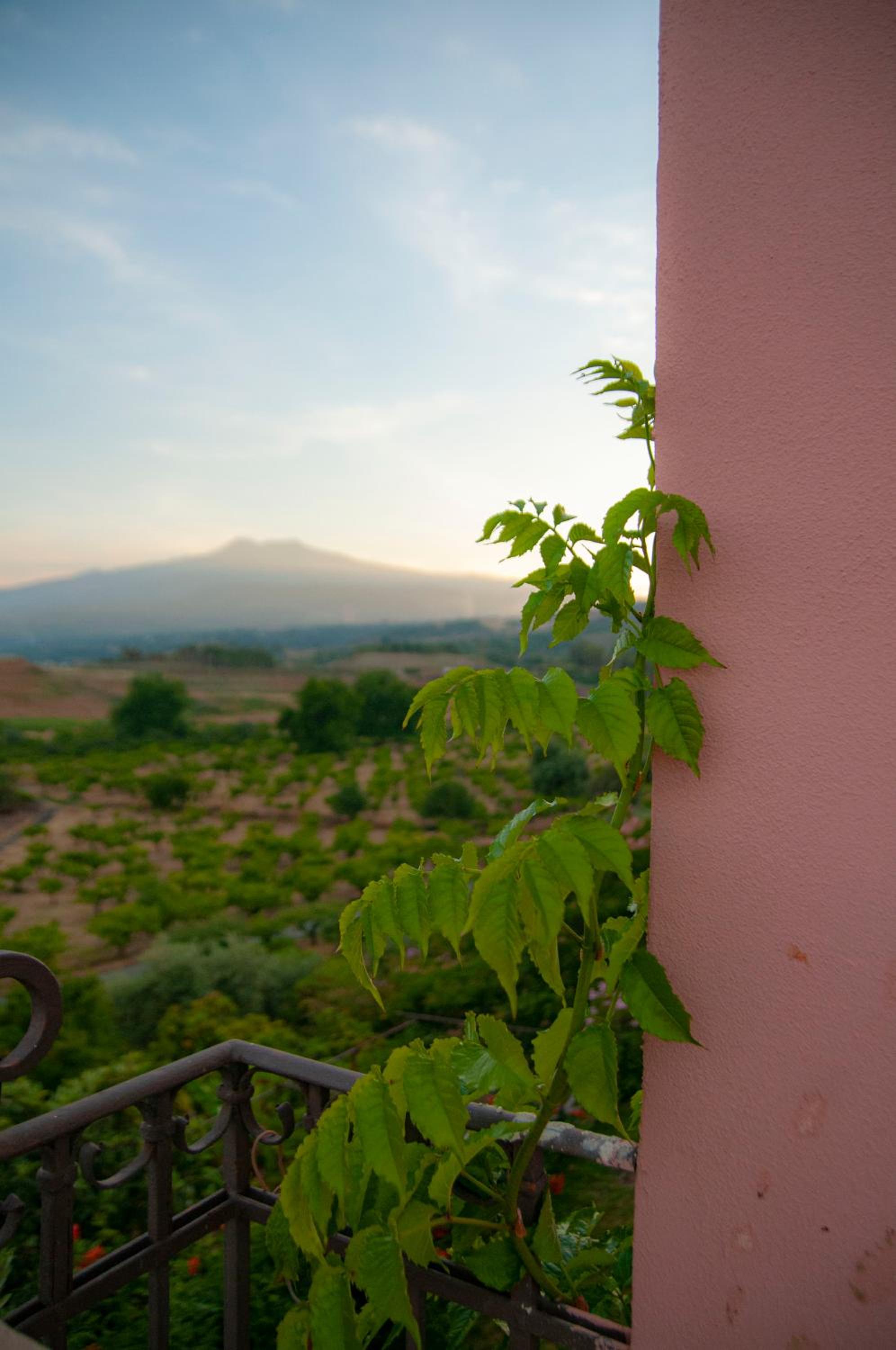 Antico Borgo Etneo Country Hotel