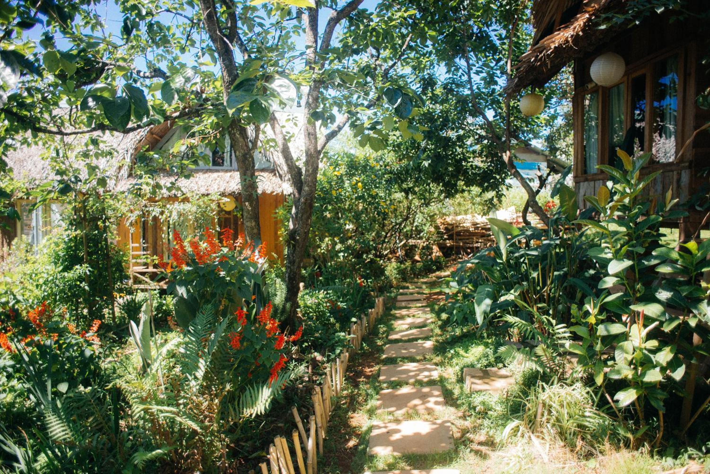 Đà Lạt Củi Homestay