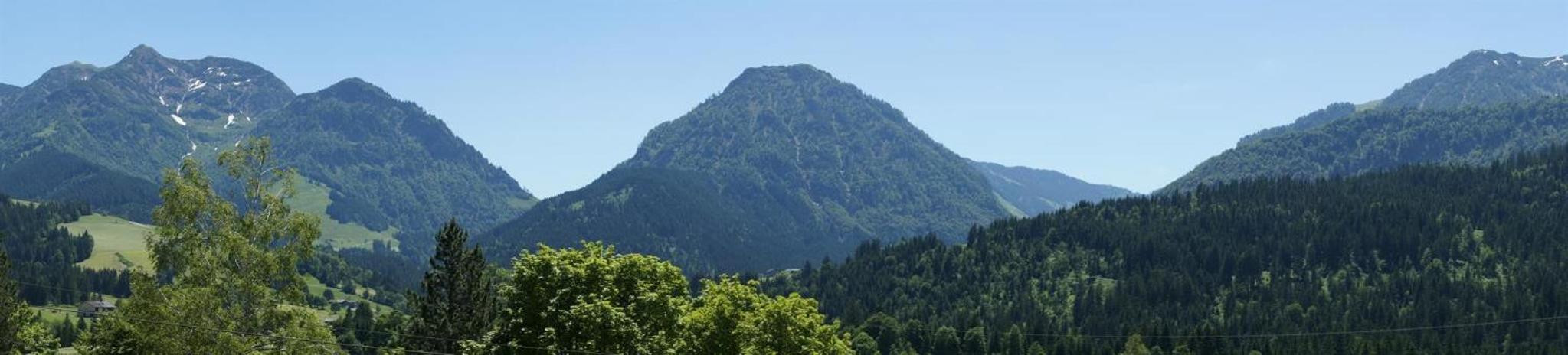 Exclusive Villa Tirol