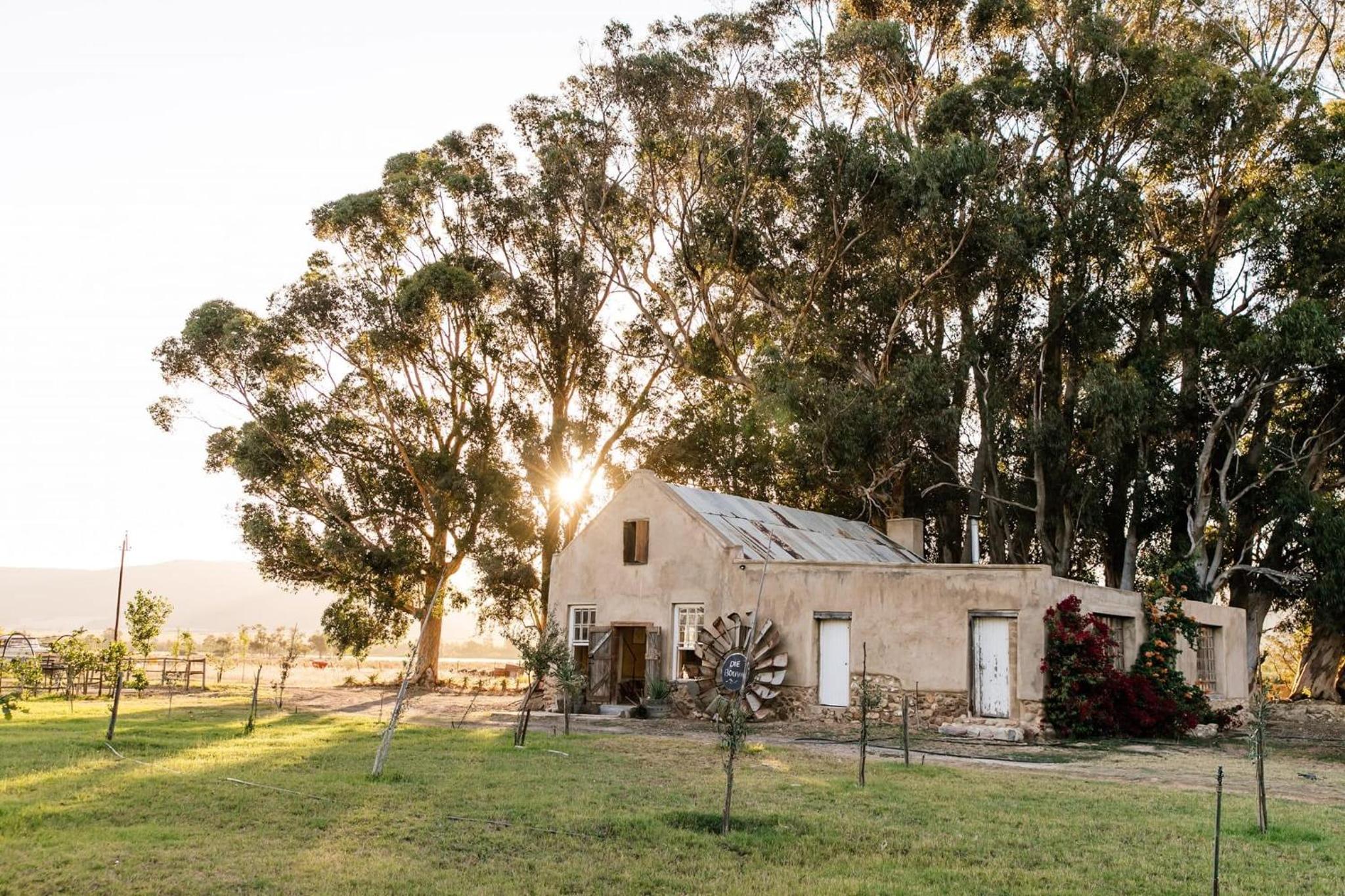 Montpellier de Tulbagh view 3