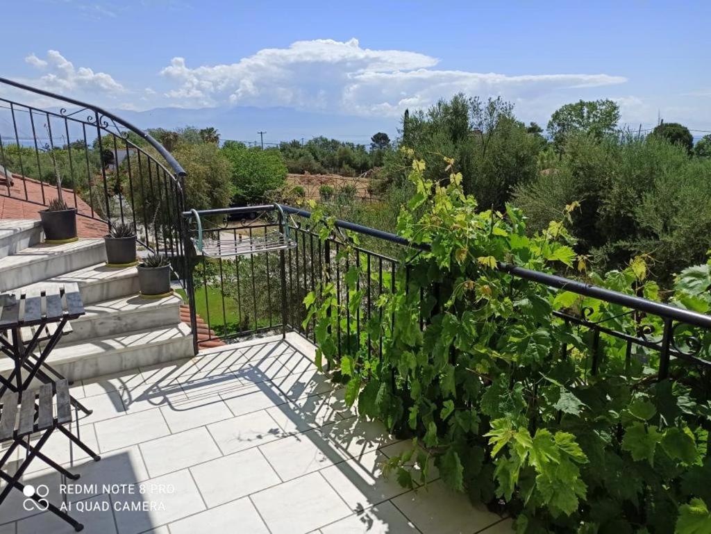Anastasios Olive Garden Apartments view 5