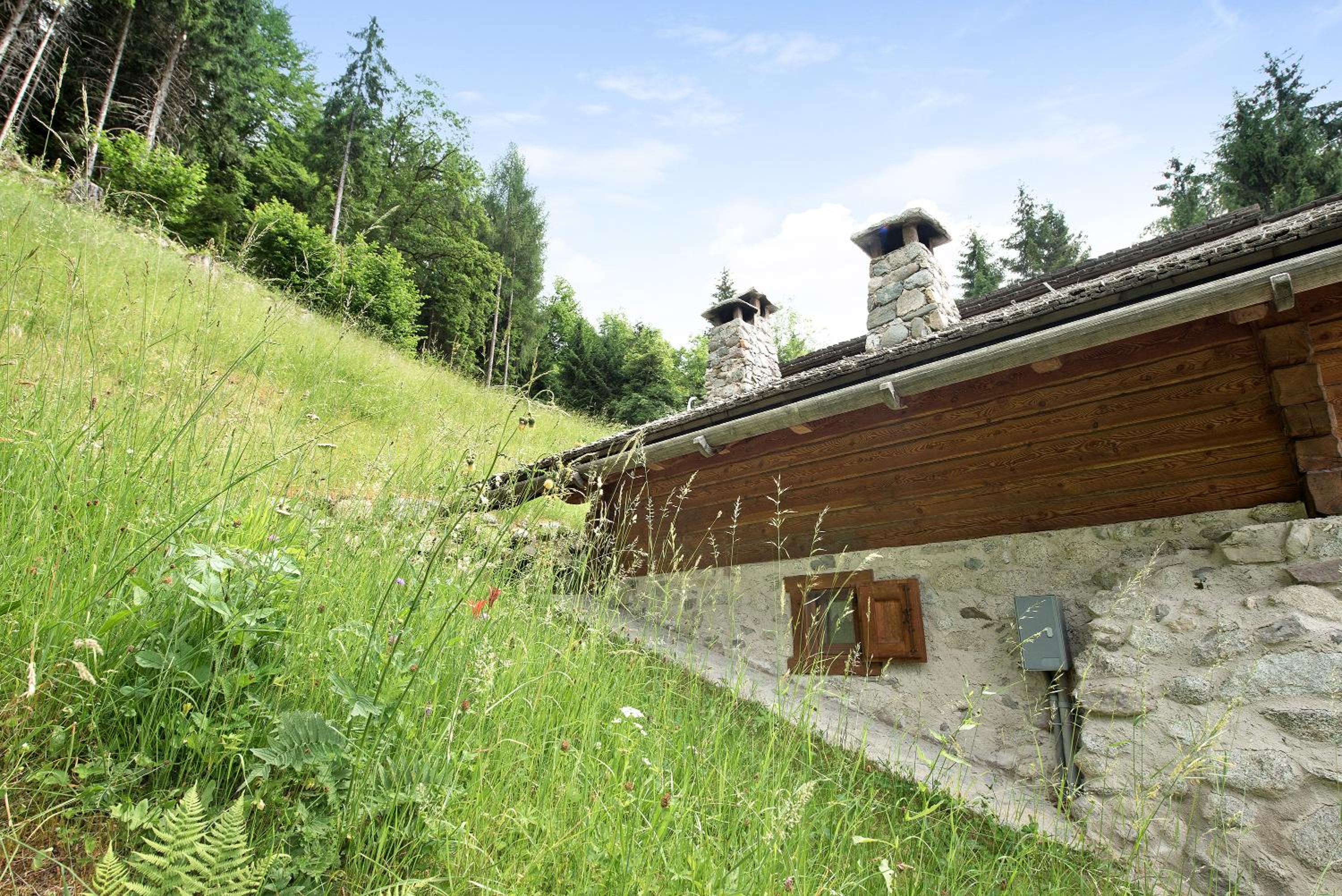 Chalet Bio Wild view 3