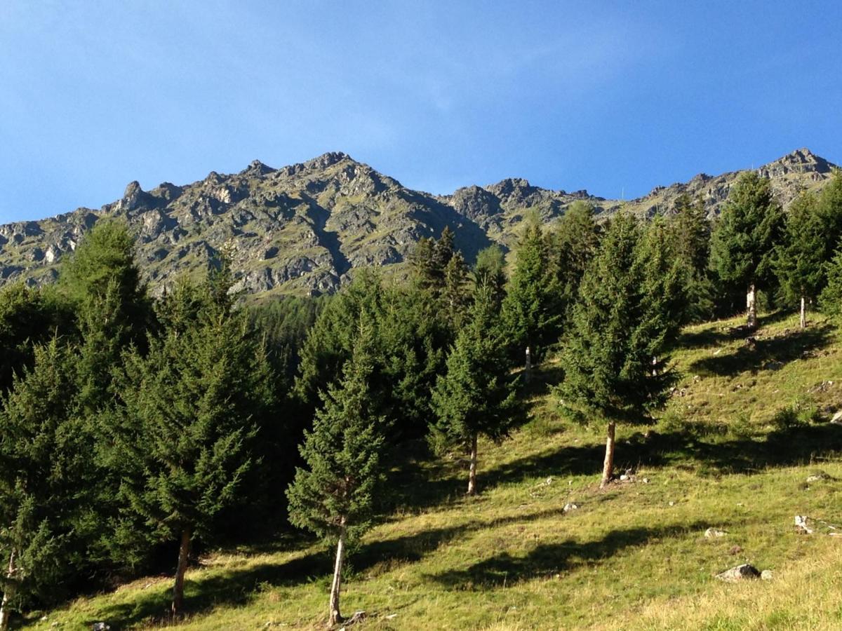 Ögghof 222