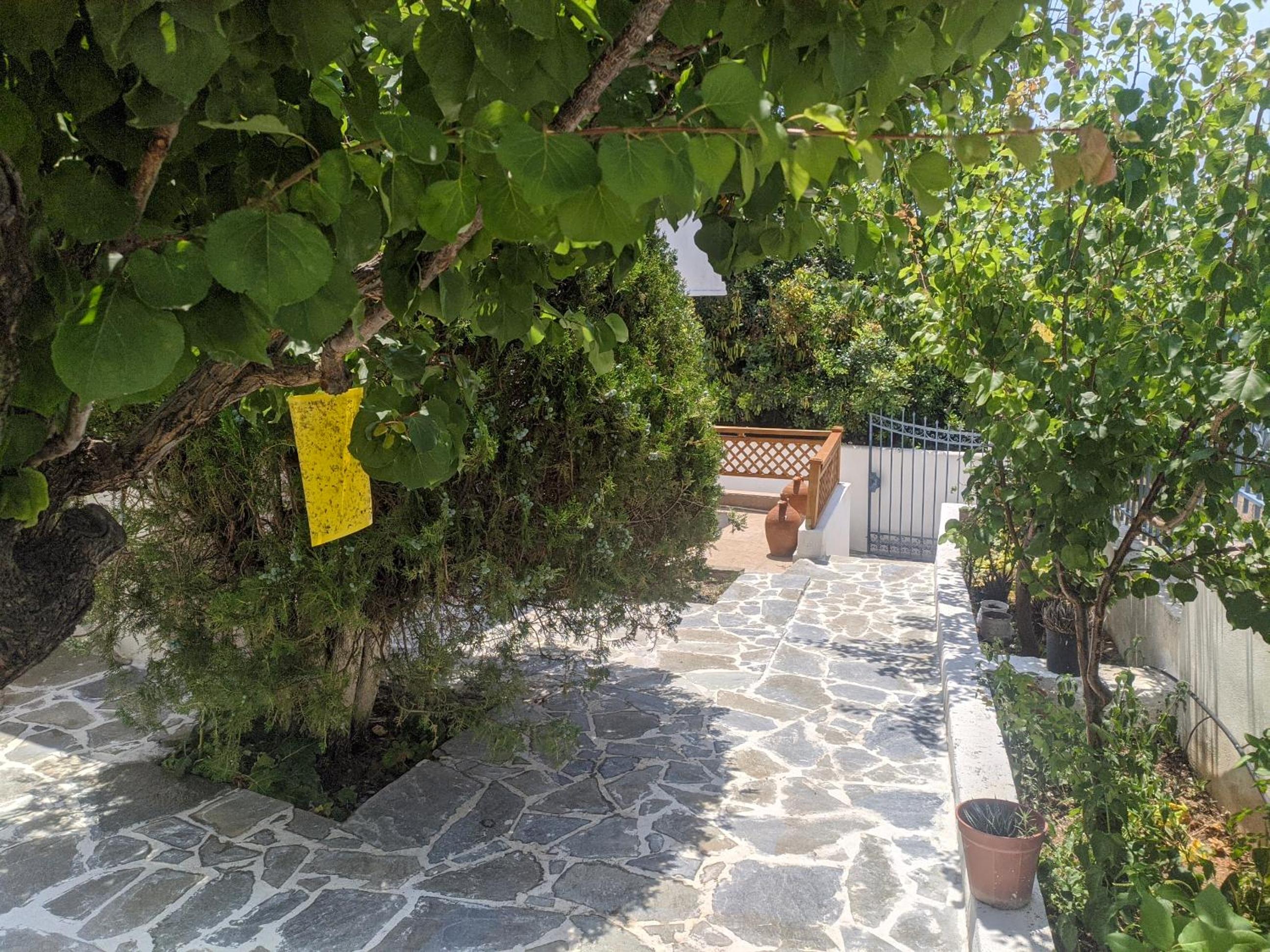 Photo 21