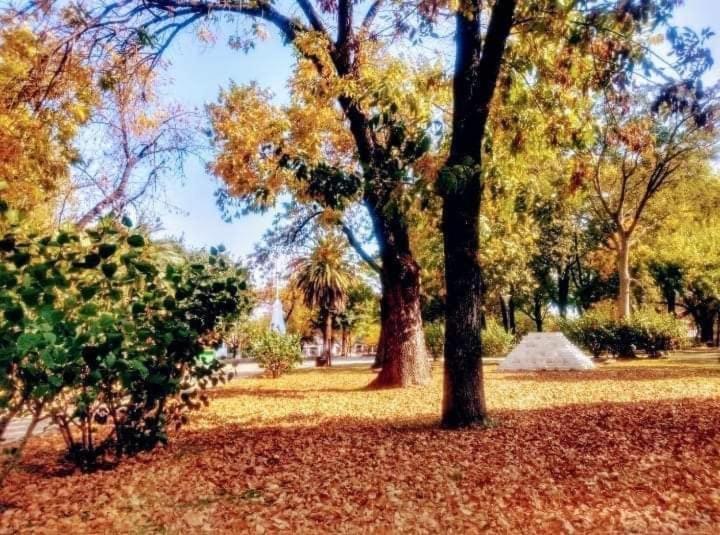 Cabañas Rincón del Río