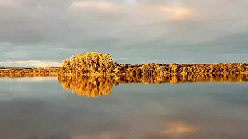 Cabañas Rincón del Río