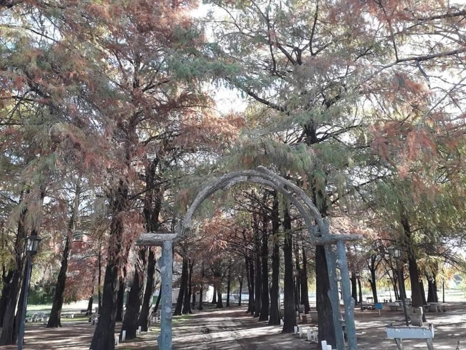 Cabañas Rincón del Río