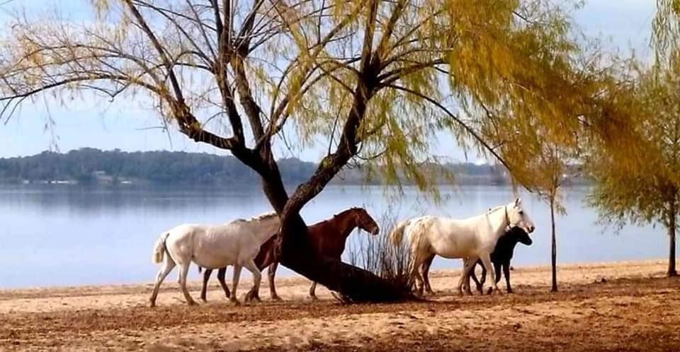 Cabañas Rincón del Río