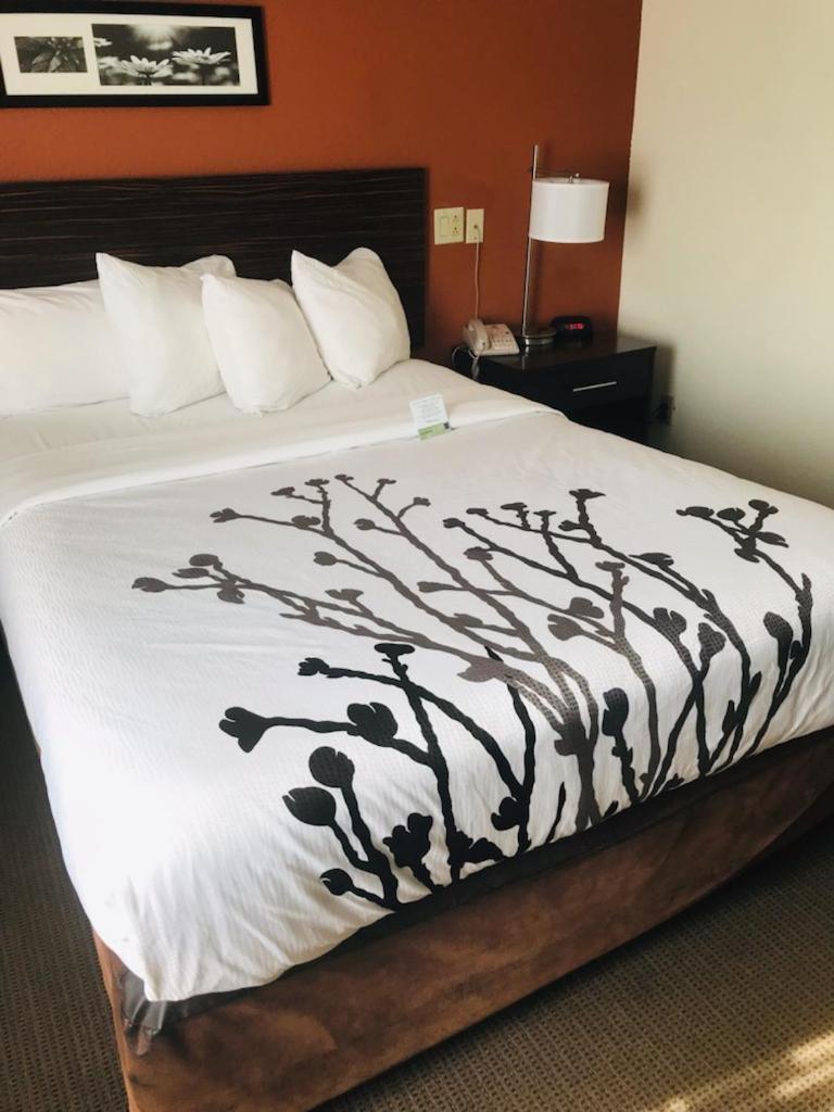 Sleep Inn North Charleston Ashley Phosphate view 3