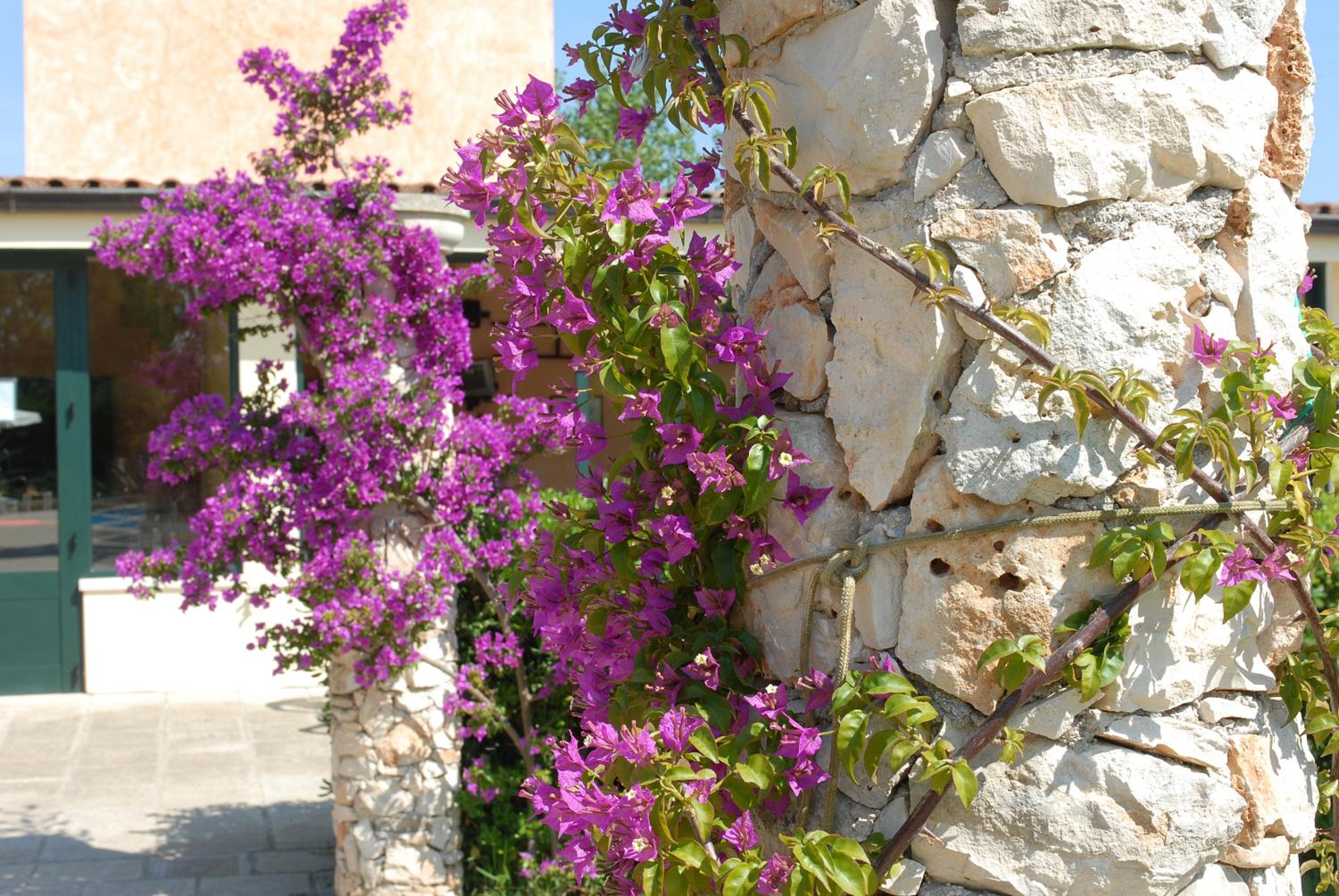 Masseria Tenuta Specolizzi