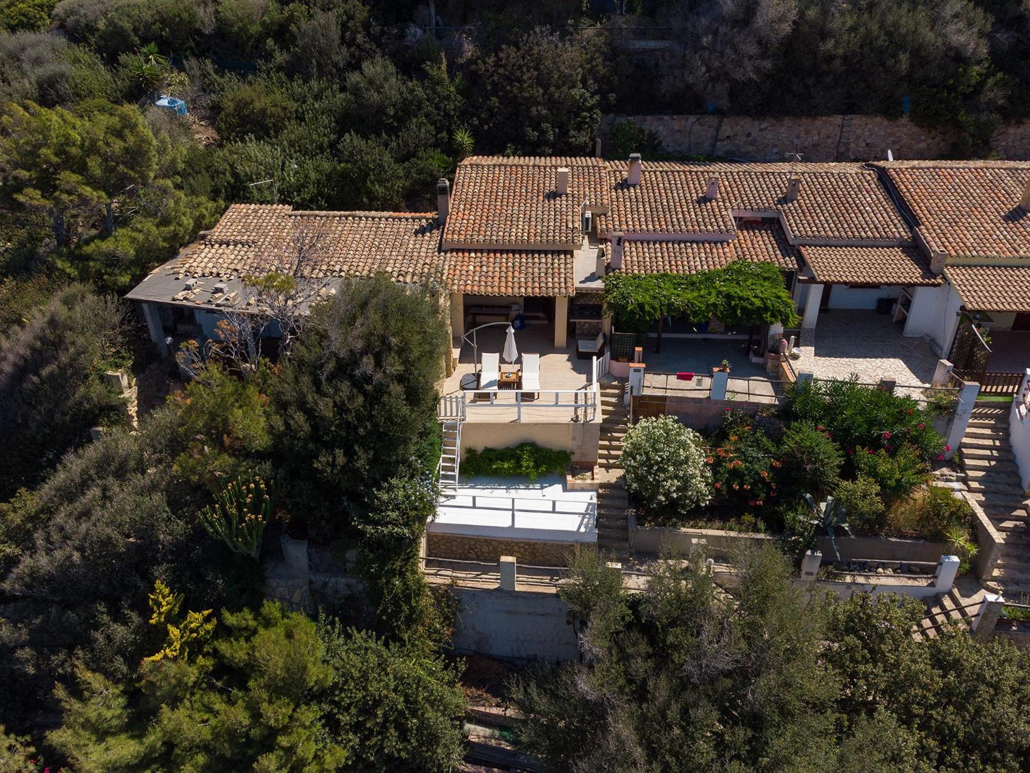 BOHaus: Nel Blu dipinto di Blu view 2