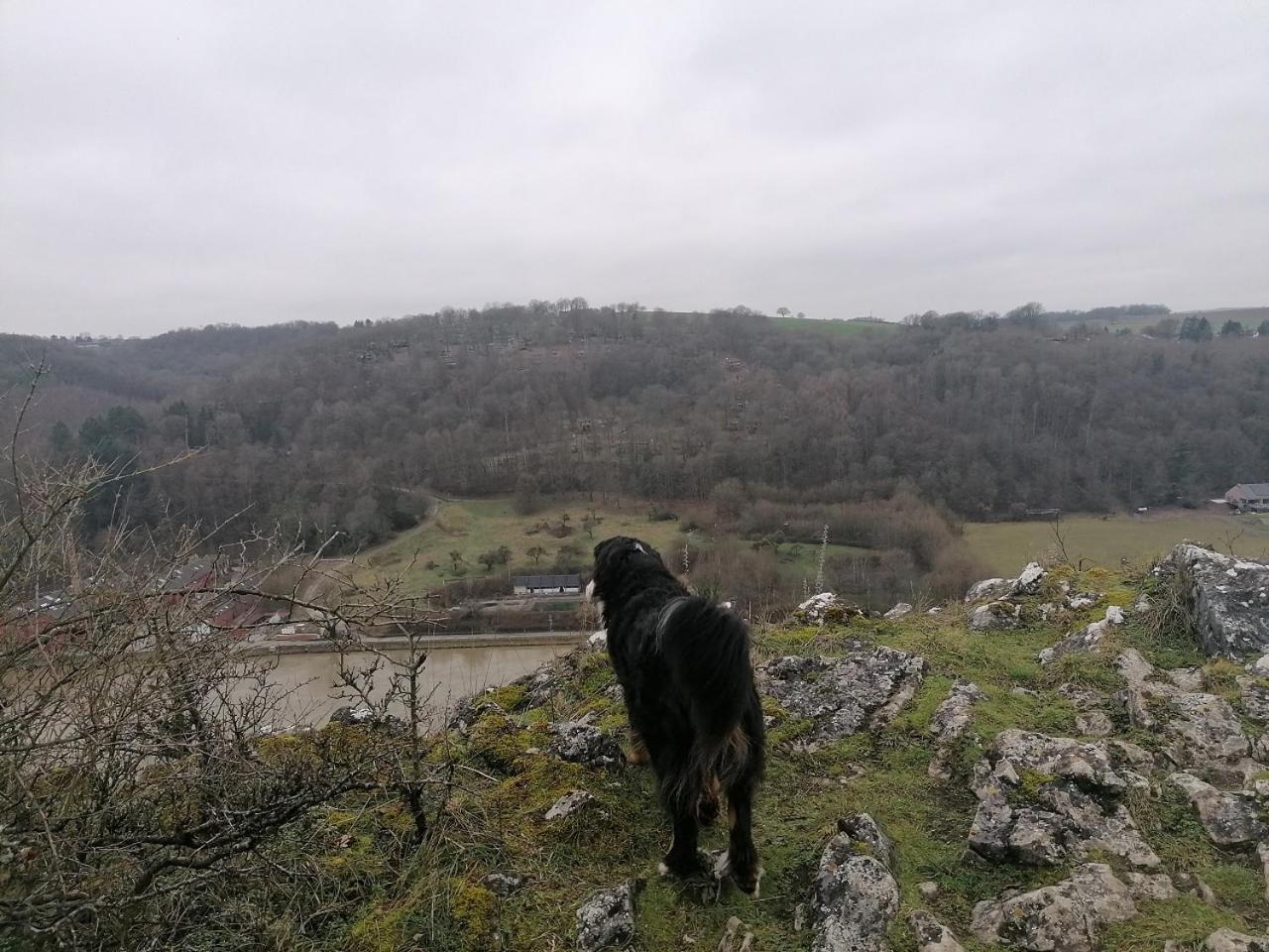 Au repos de Zoé