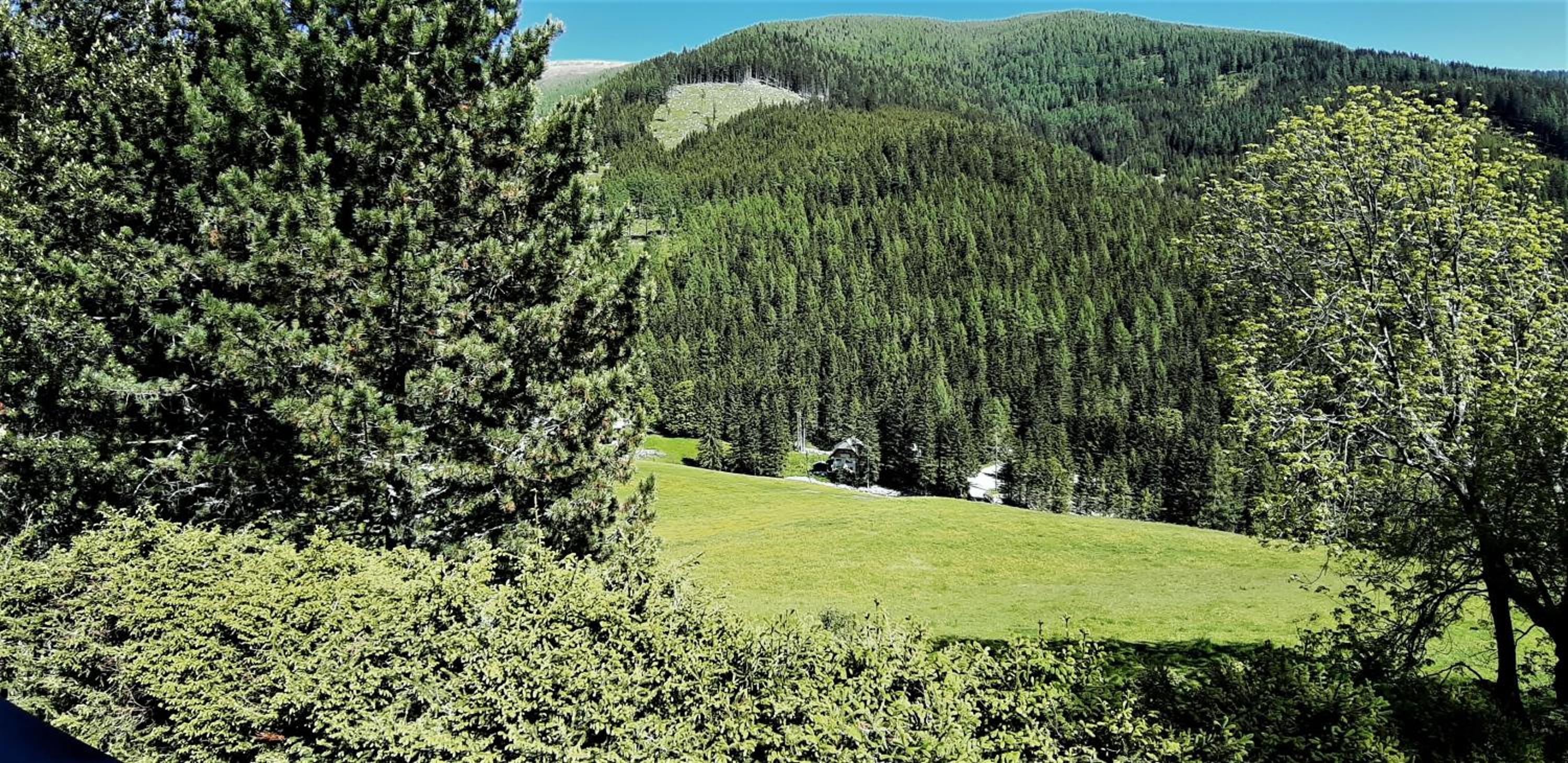 CHALET WIESERNOCK