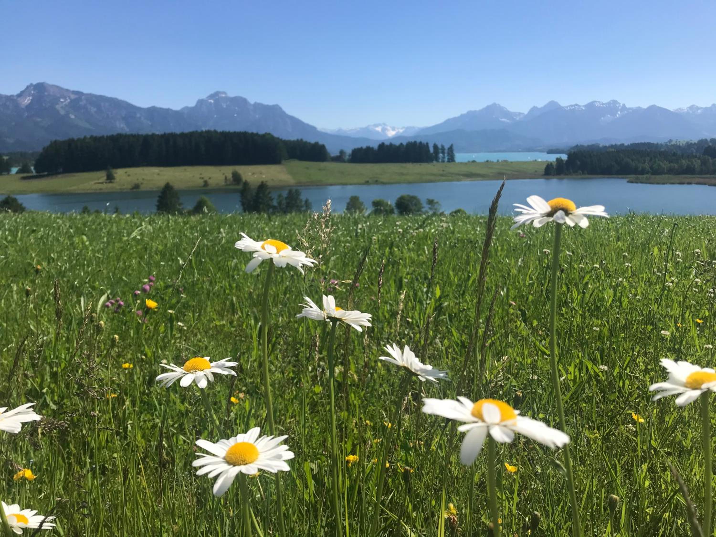 Ferienhaus Lieblingsplatz-Füssen - stilvoll urlauben & wohnen