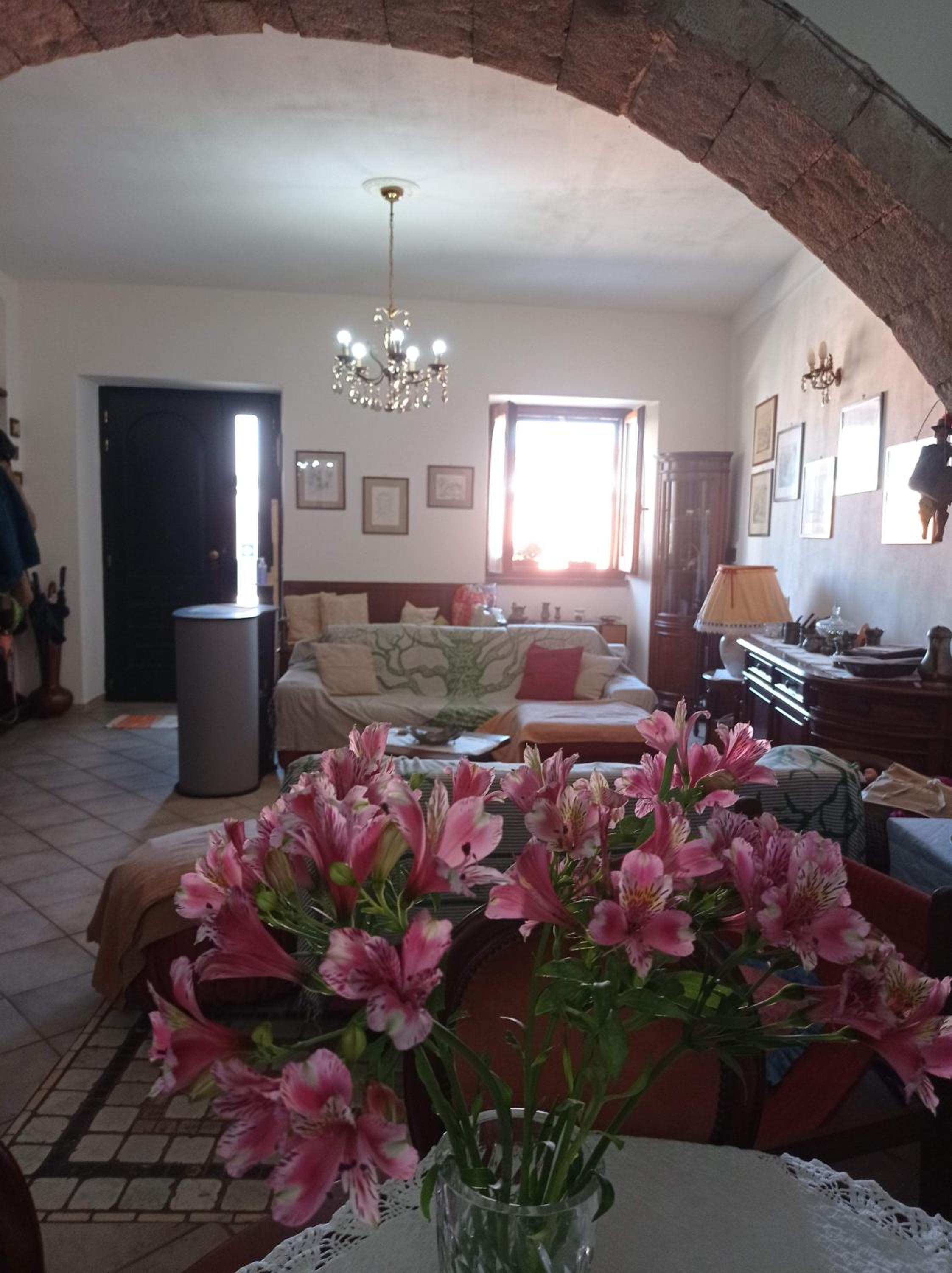 B&B Belvedere