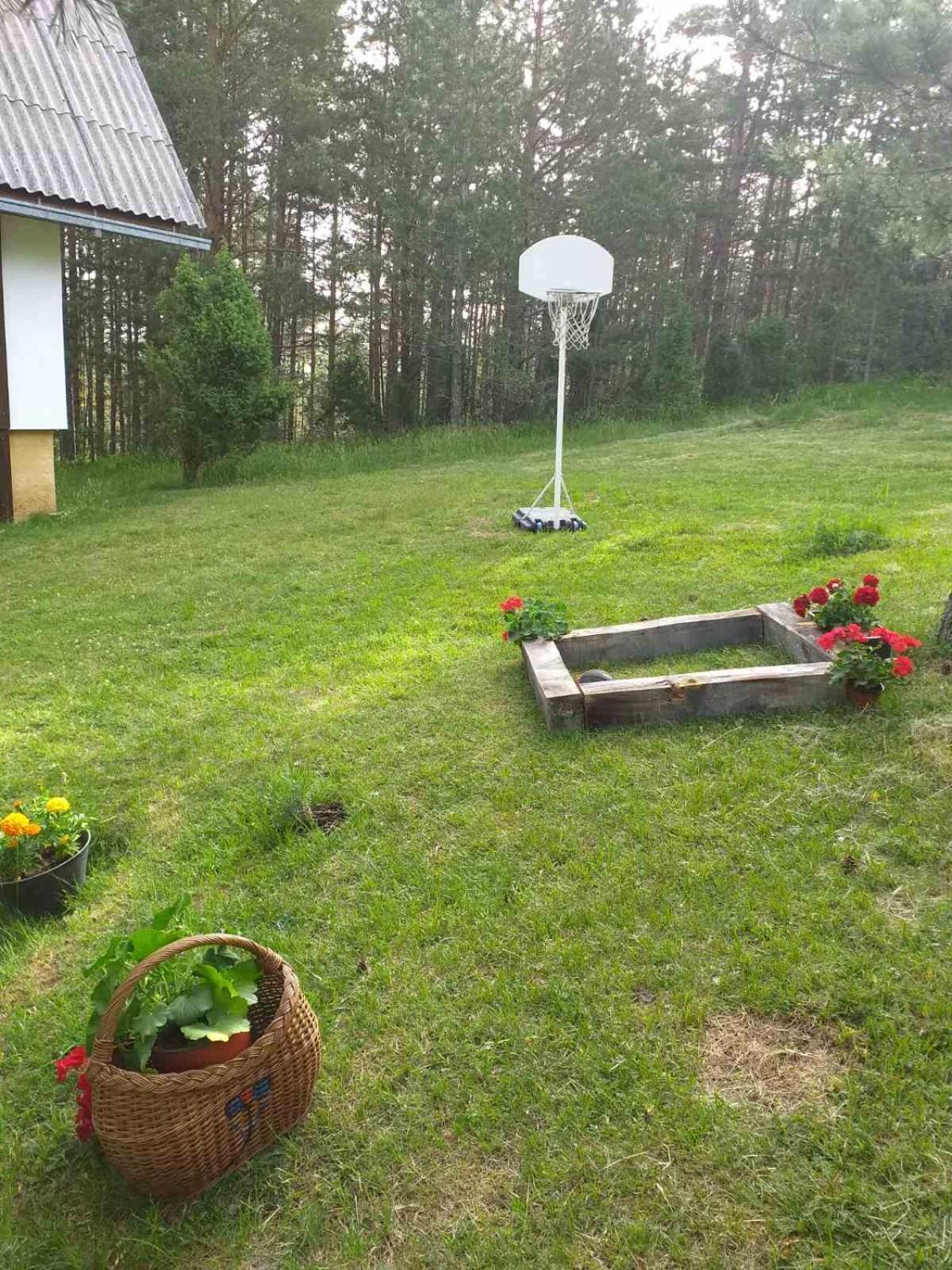Photo 23