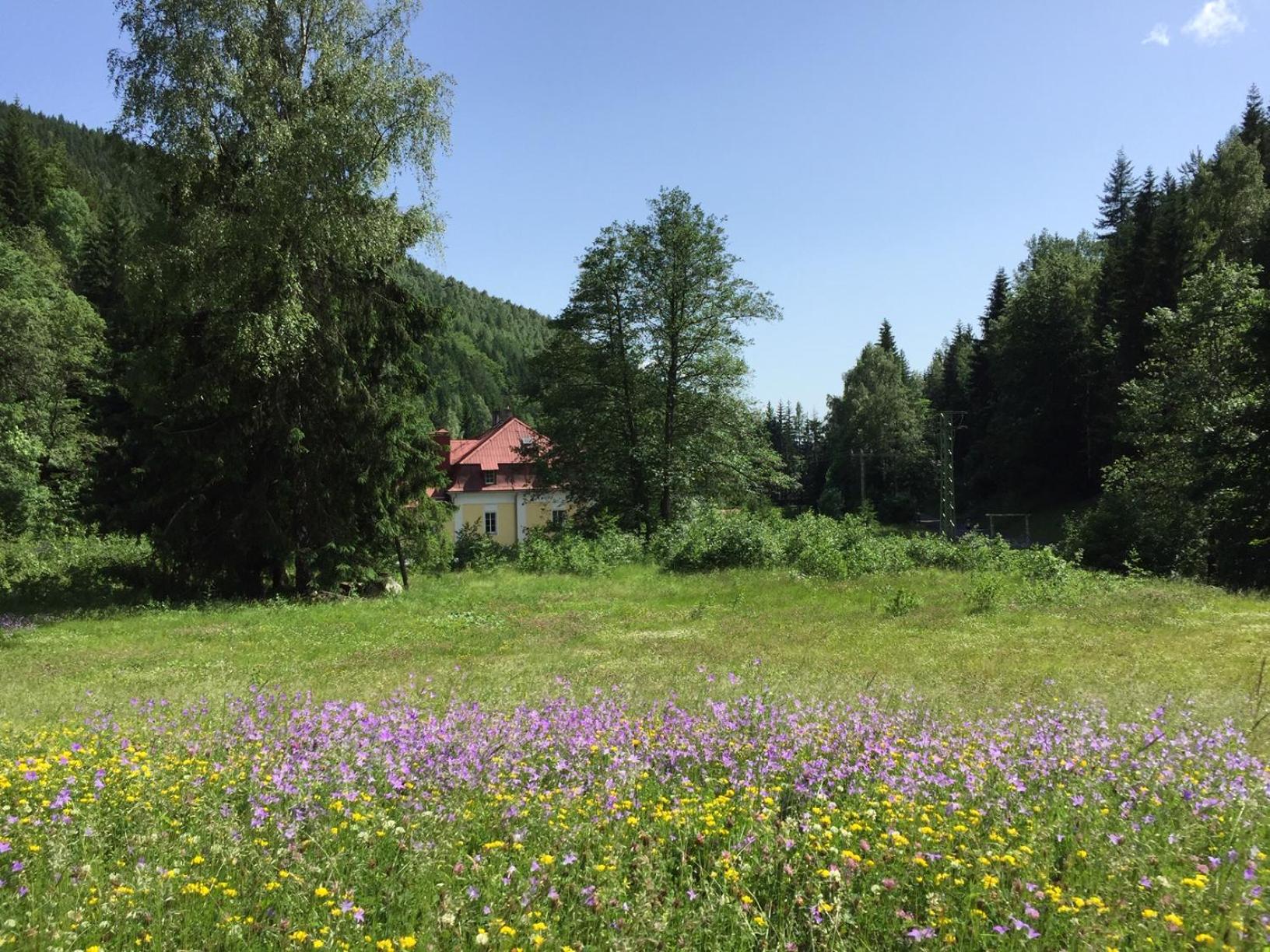 Horská Chata Pod Lanovkou