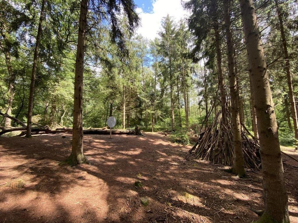 Ferienhaus Seewind am Harkebrügger See mit Sauna und Kamin