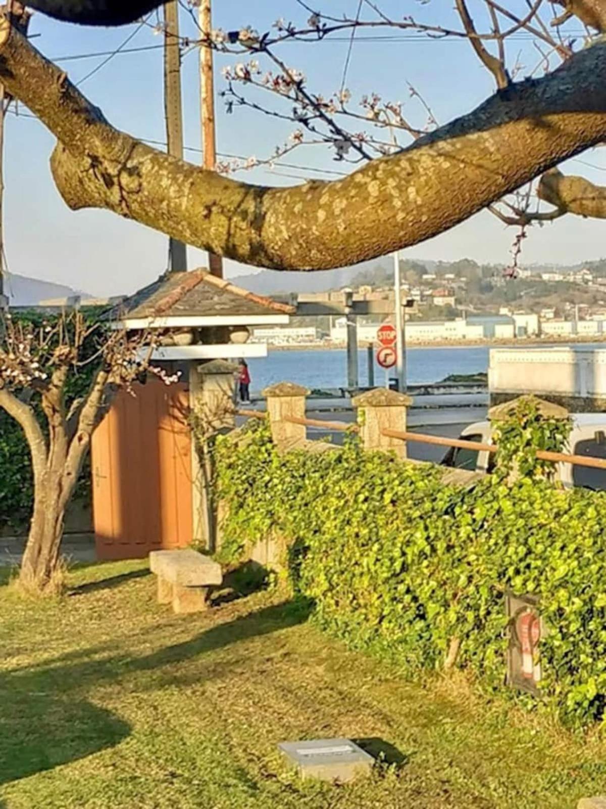 Covas Beach Arena