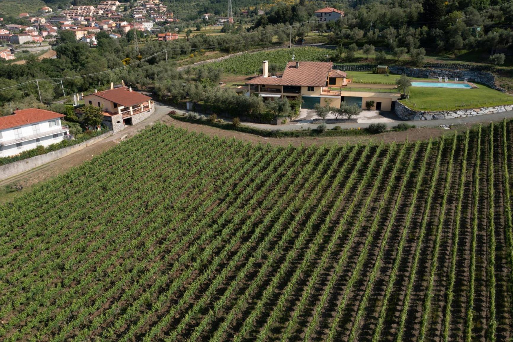 La Colombiera Wine&Relais view 3