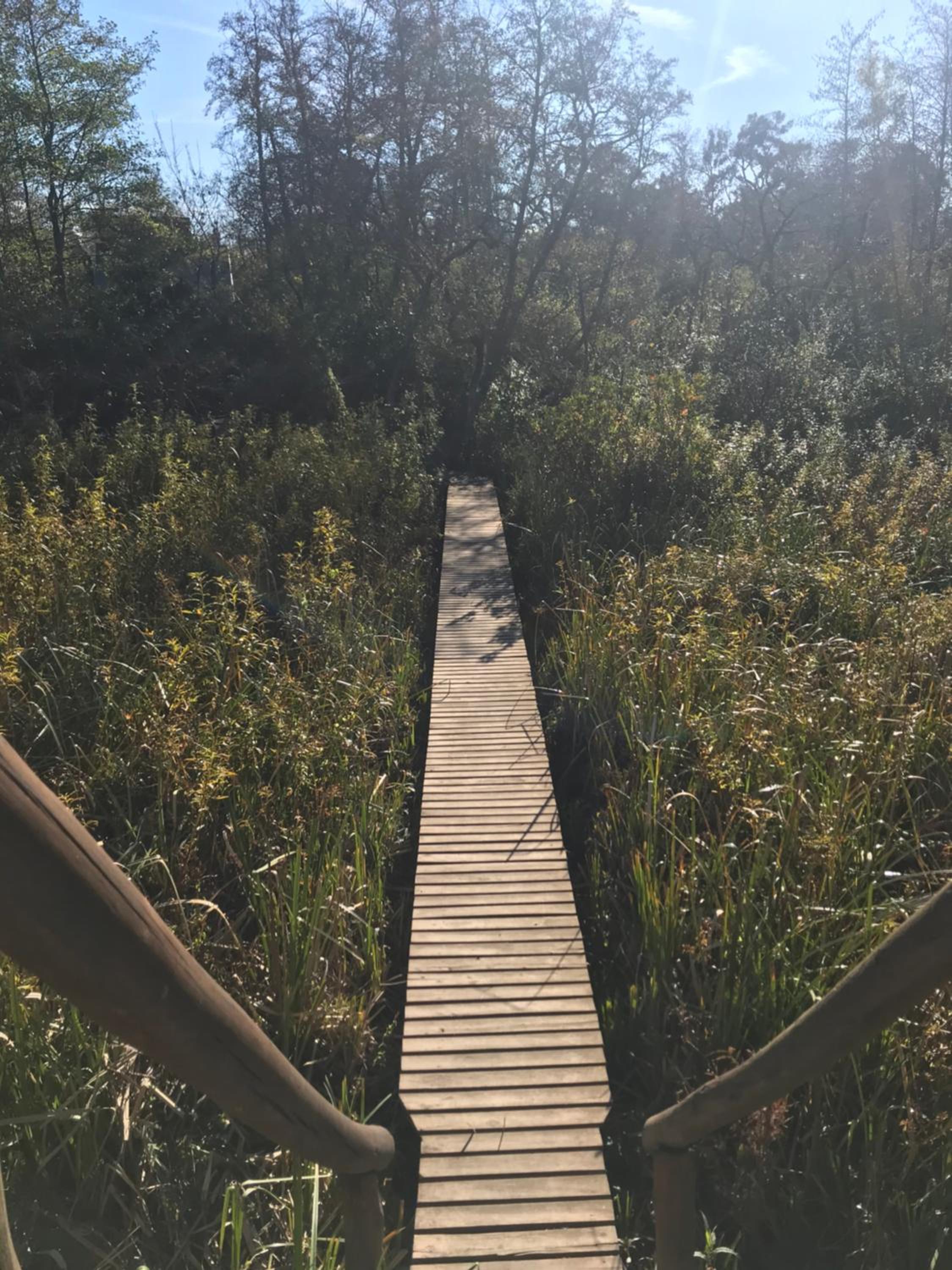 Cabaña en el Delta Arroyo Pajarito a 20 minutos de navegación