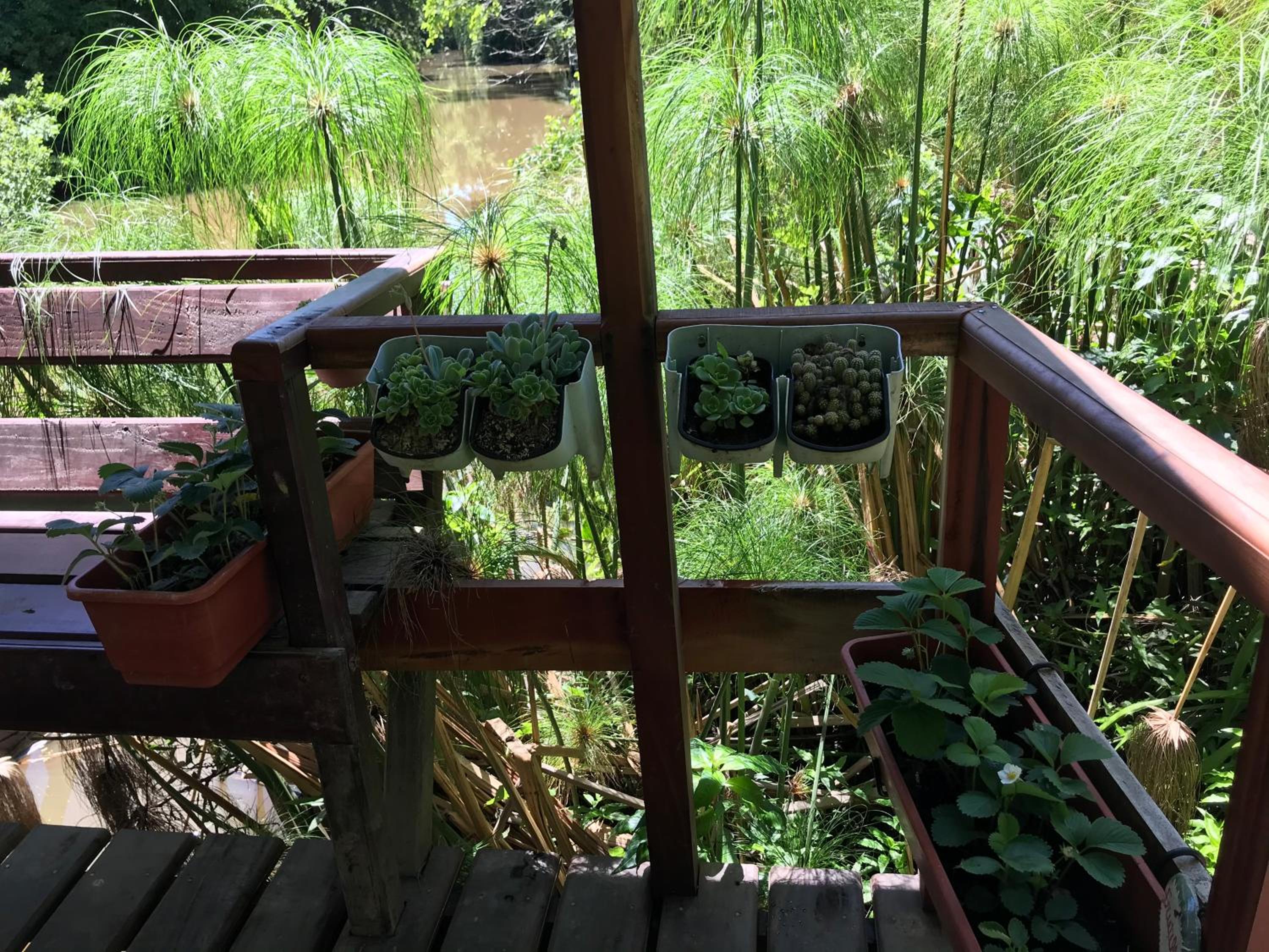 Cabaña en el Delta Arroyo Pajarito a 20 minutos de navegación
